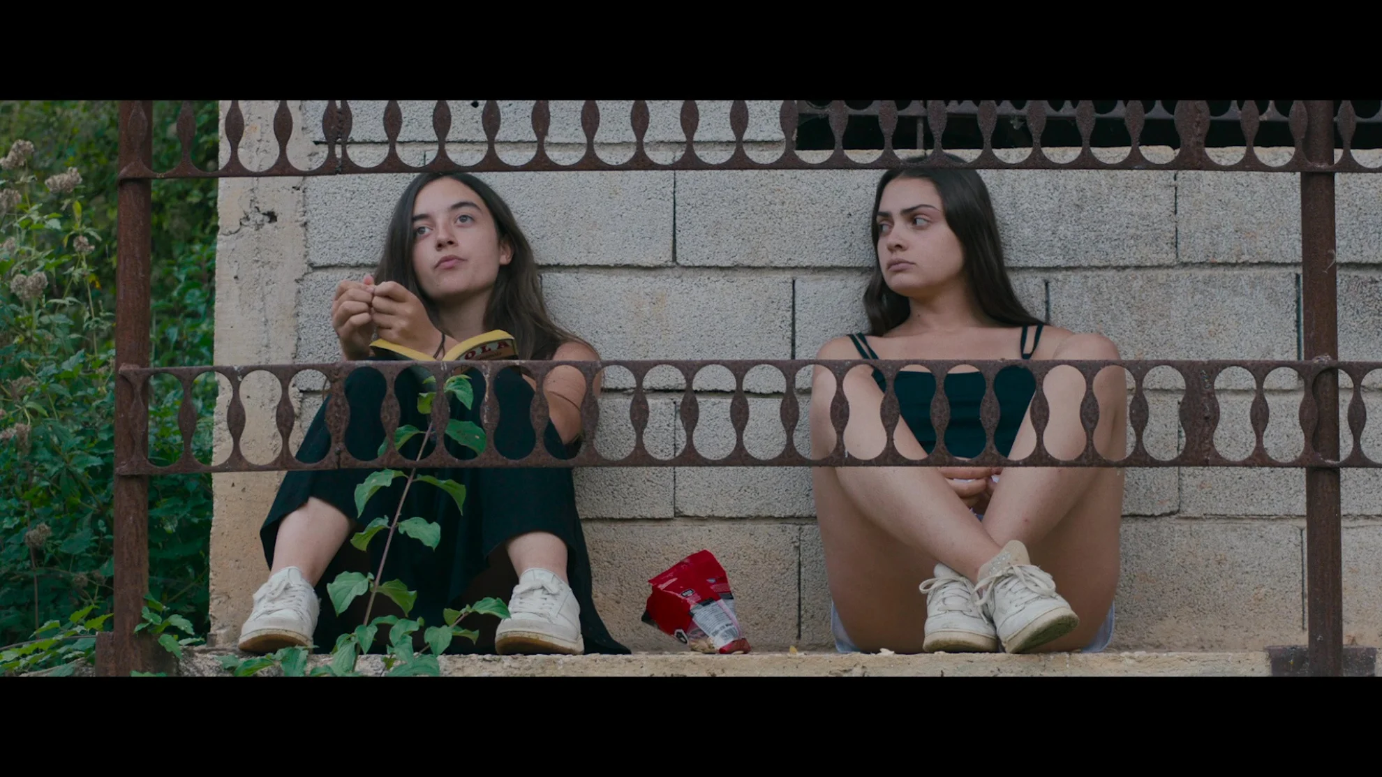 The Hill Where Lionesses Roar hero banner image placeholder