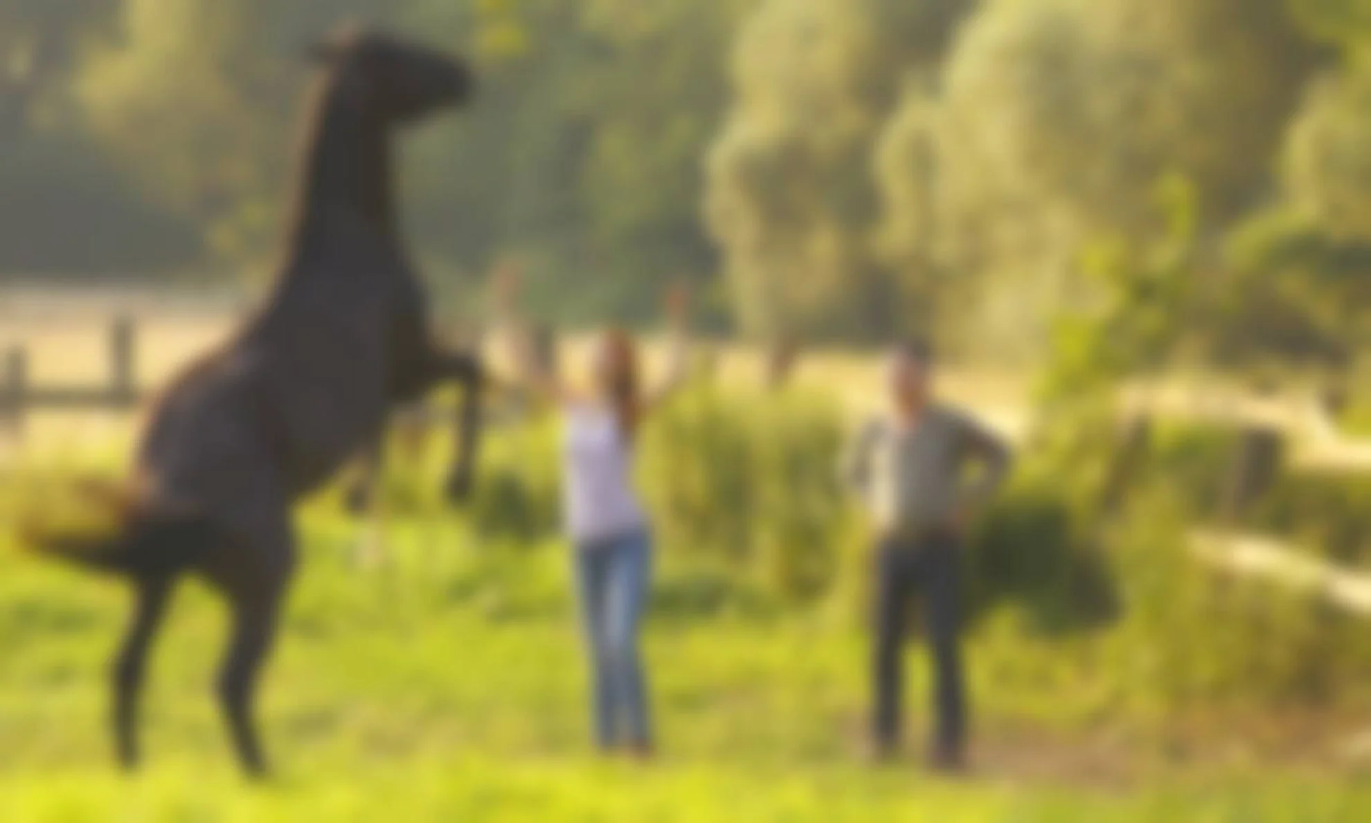 Ostwind hero banner image placeholder