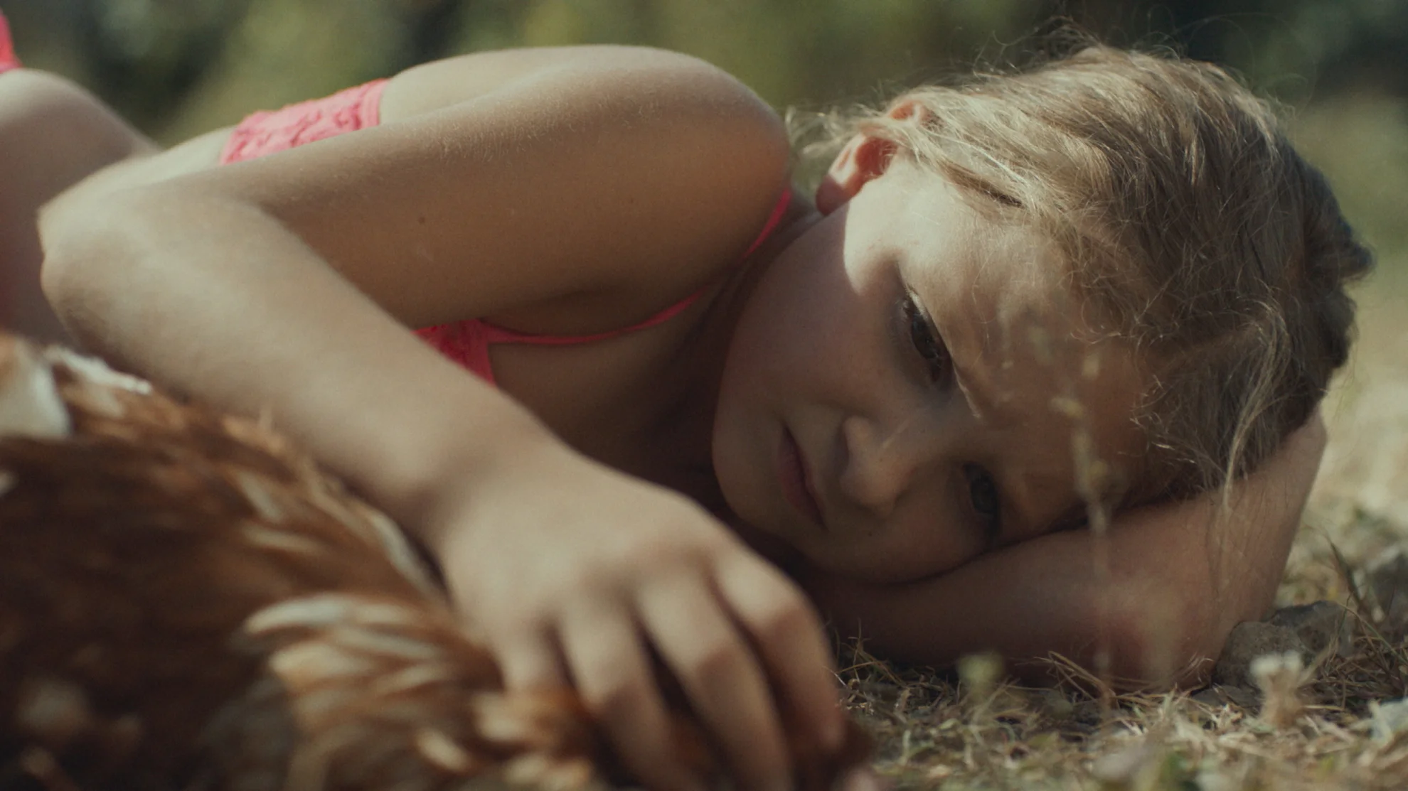 Une colonie hero banner image placeholder