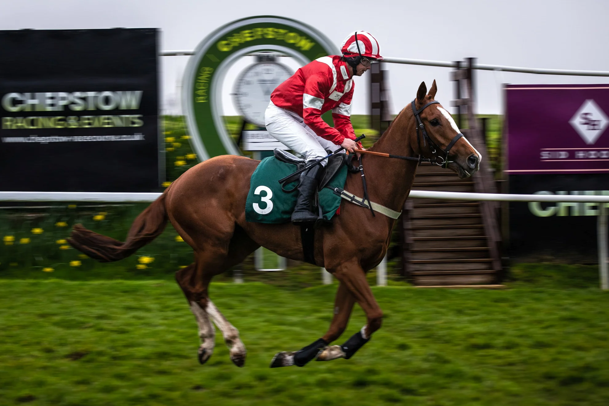 Dream Horse hero banner image placeholder