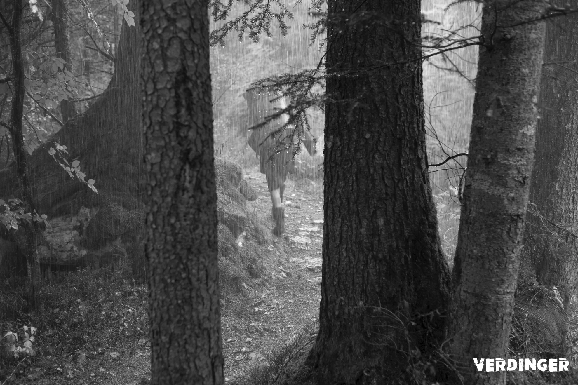 Verdinger hero banner image placeholder