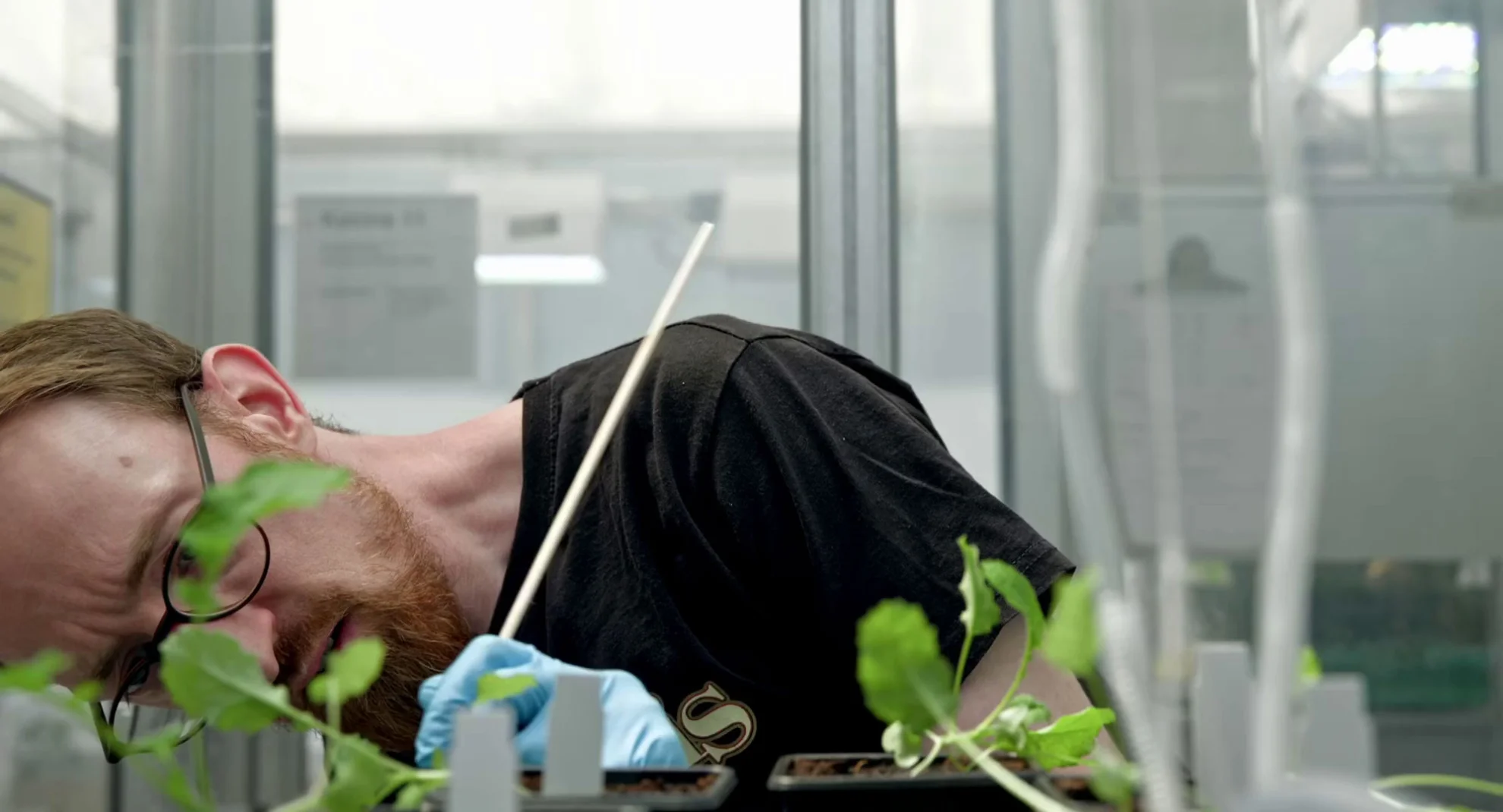 Unter Pflanzen - Ein Perspektivenwechsel hero banner image placeholder