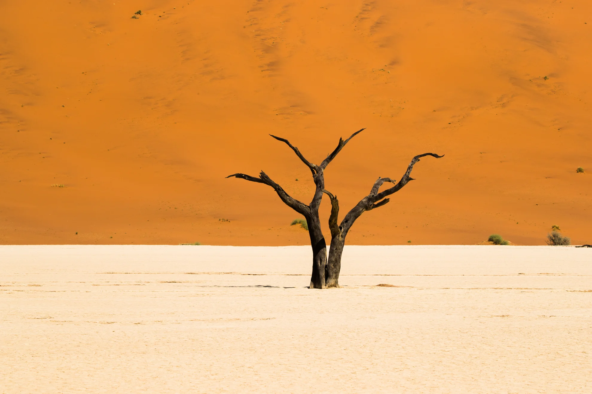 Surf Film Nacht: African Territory - Part 2 hero banner image placeholder