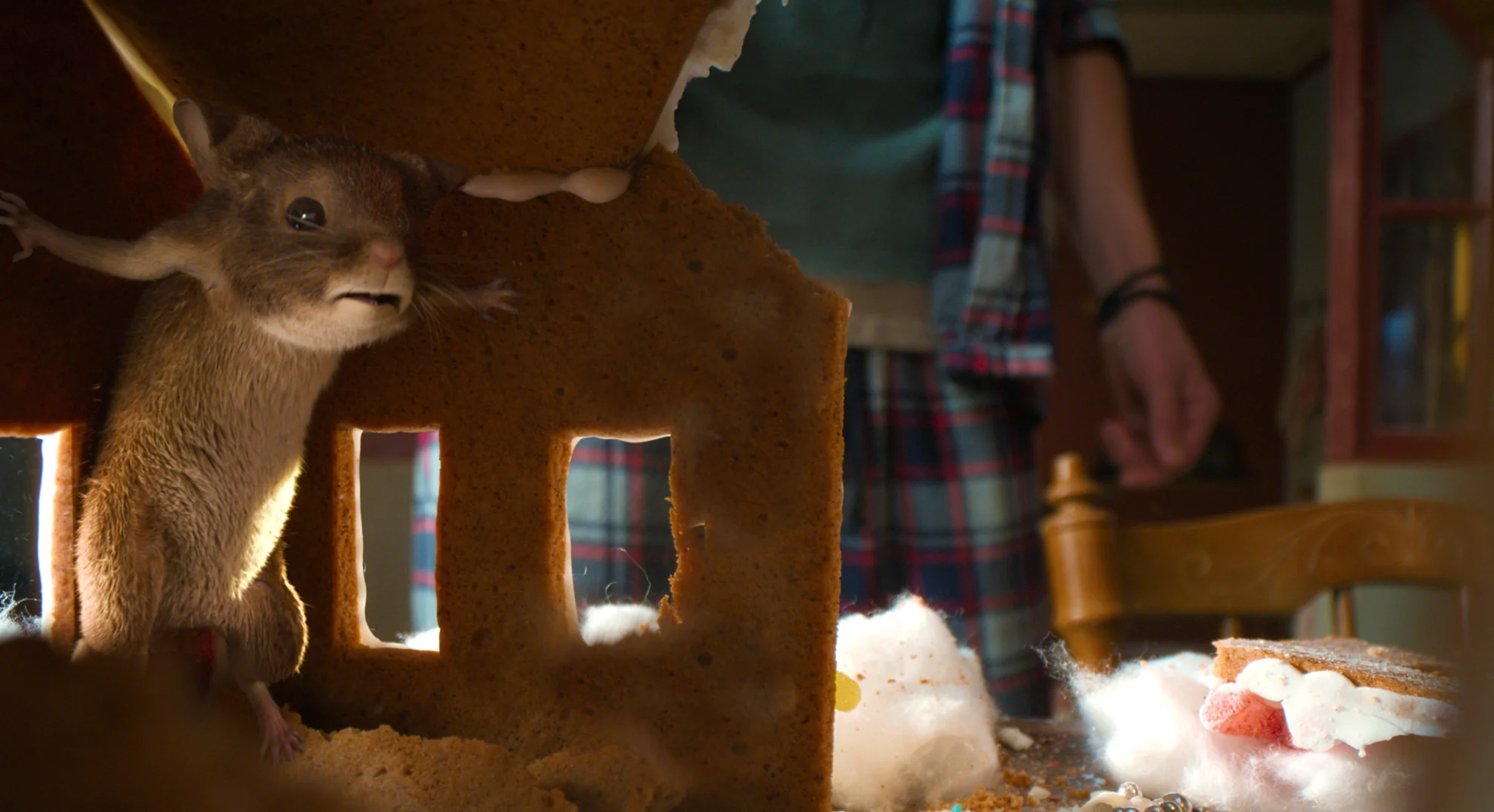 Mission Mäusejagd - Chaos unterm Weihnachtsbaum hero banner image placeholder