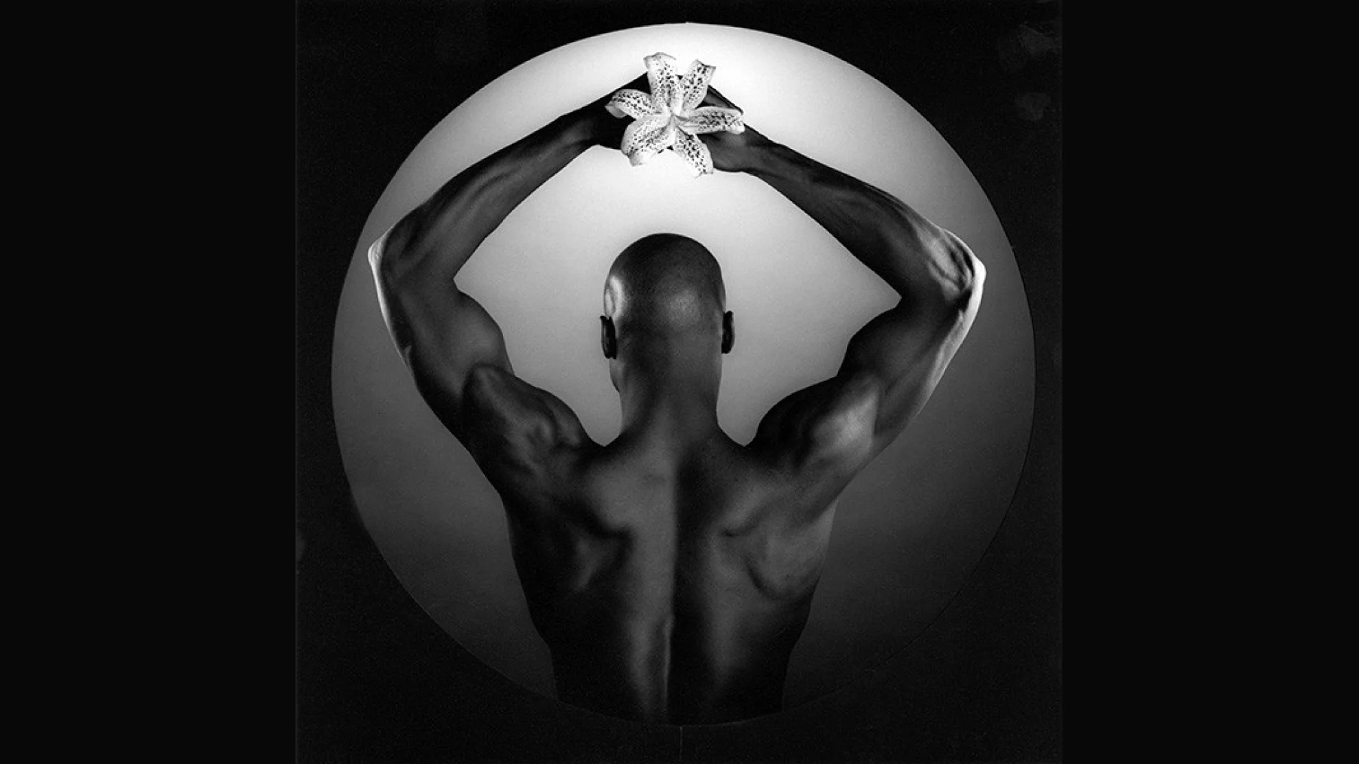 Mapplethorpe: Look at the Pictures hero banner image placeholder