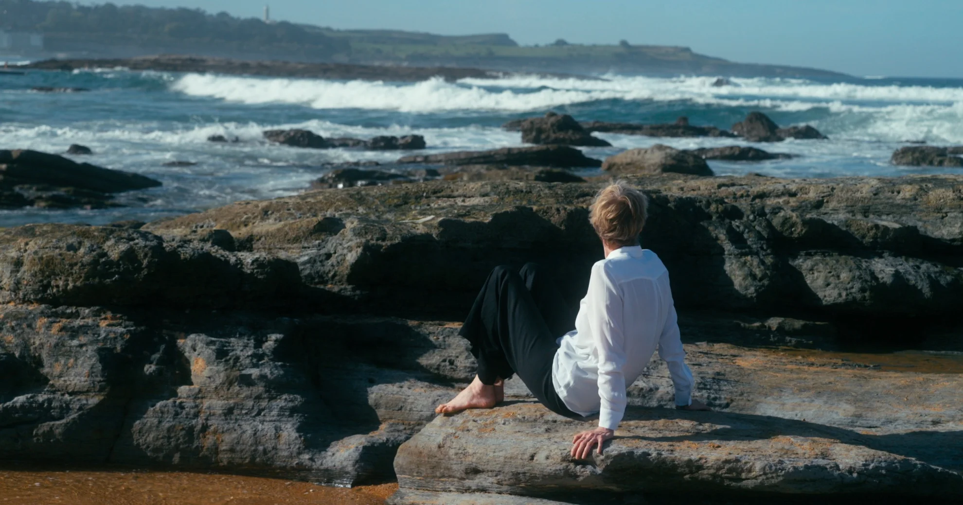 Siri Hustvedt - Dance Around the Self hero banner image placeholder