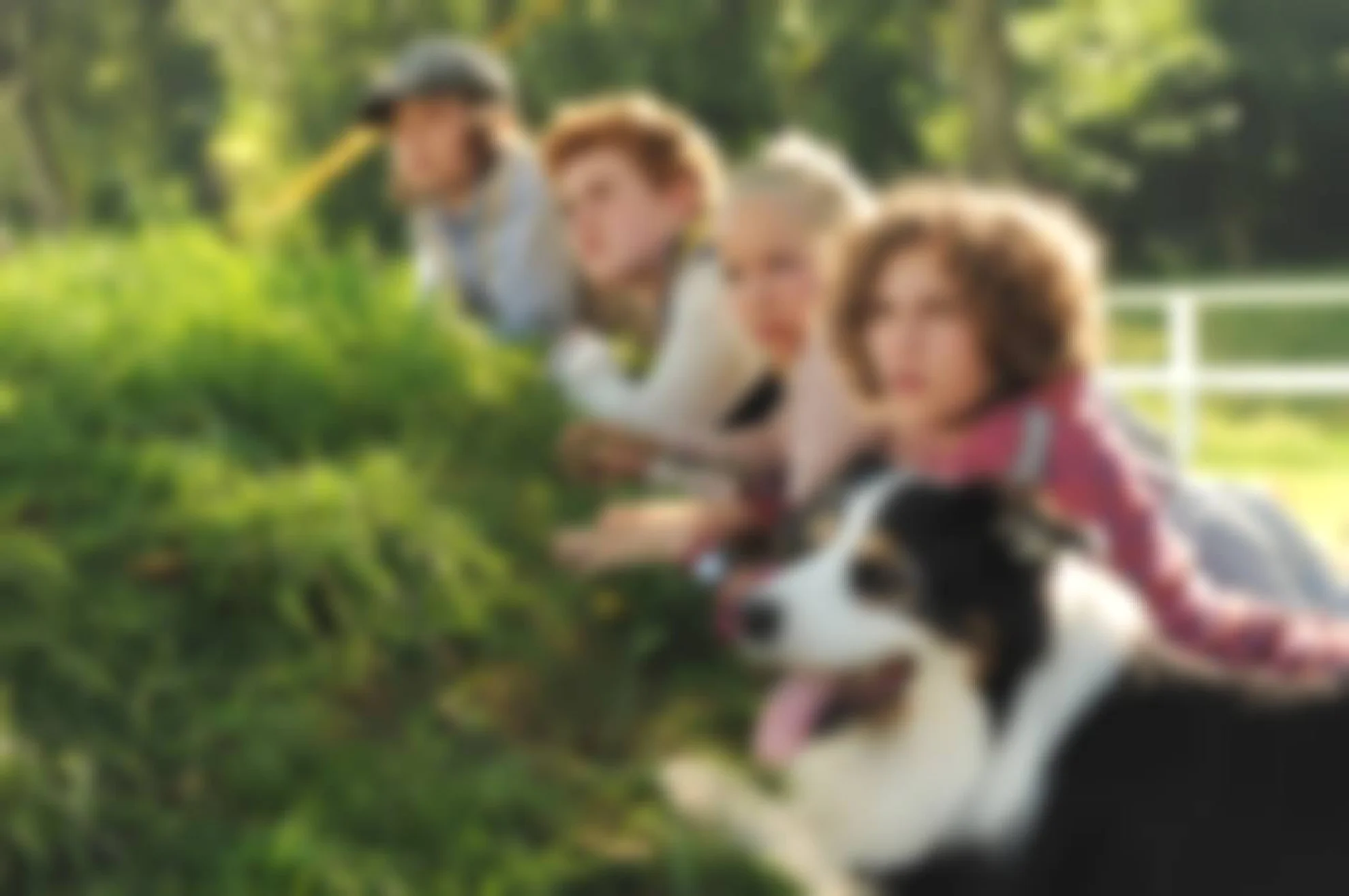 Fünf Freunde 2 hero banner image placeholder