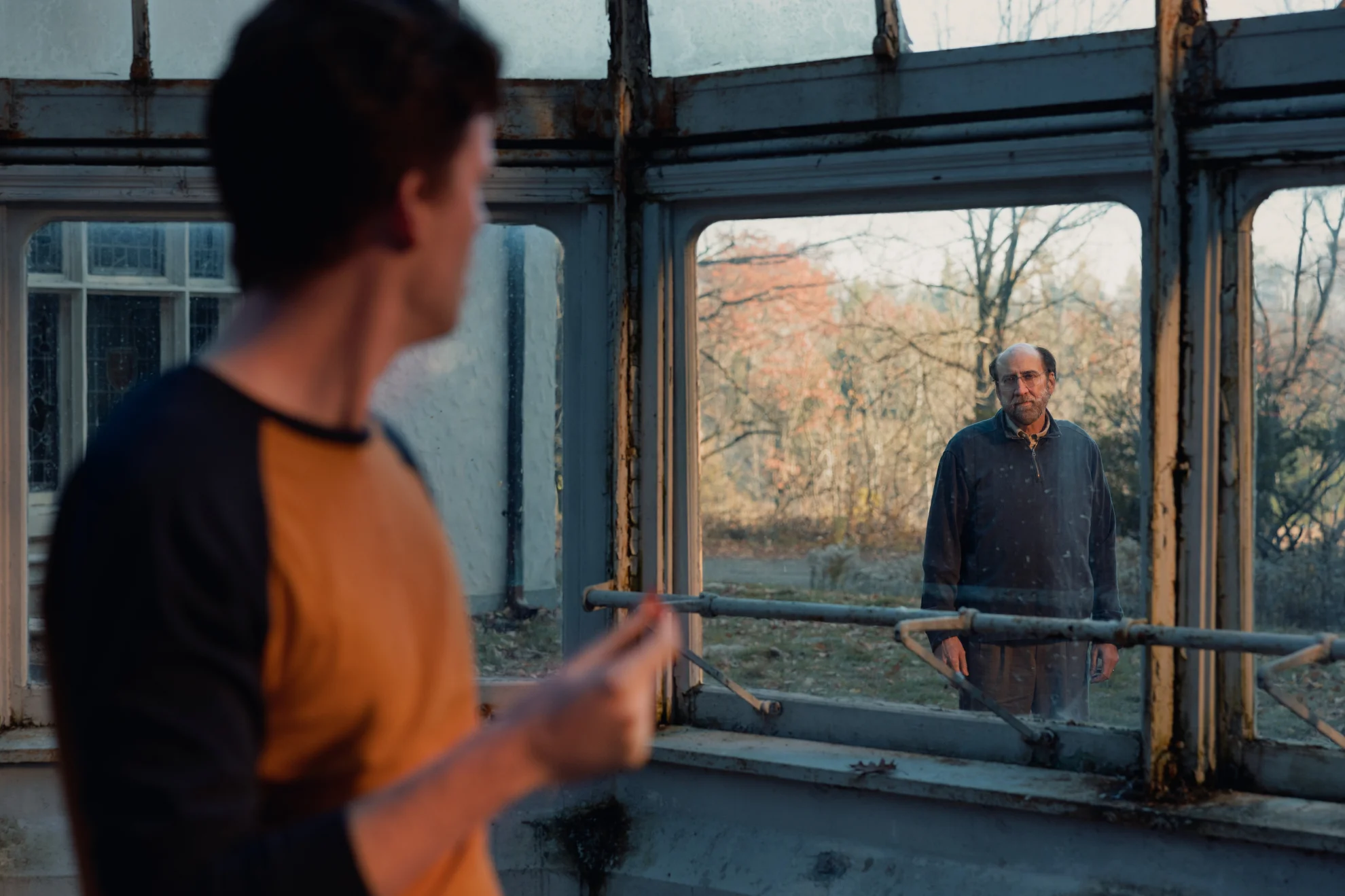 Dream Scenario hero banner image placeholder