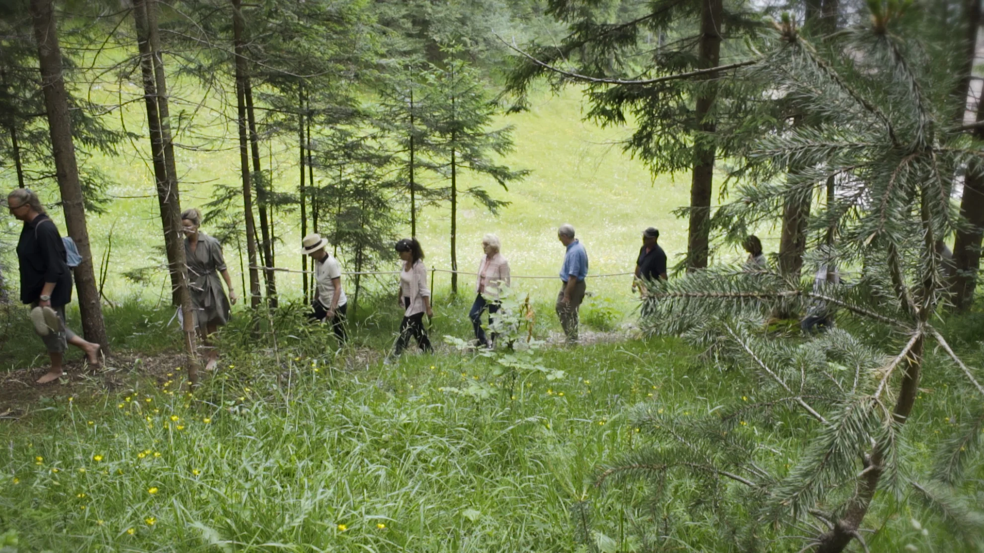 Sein - Gesund, Bewusst, Lebendig hero banner image placeholder