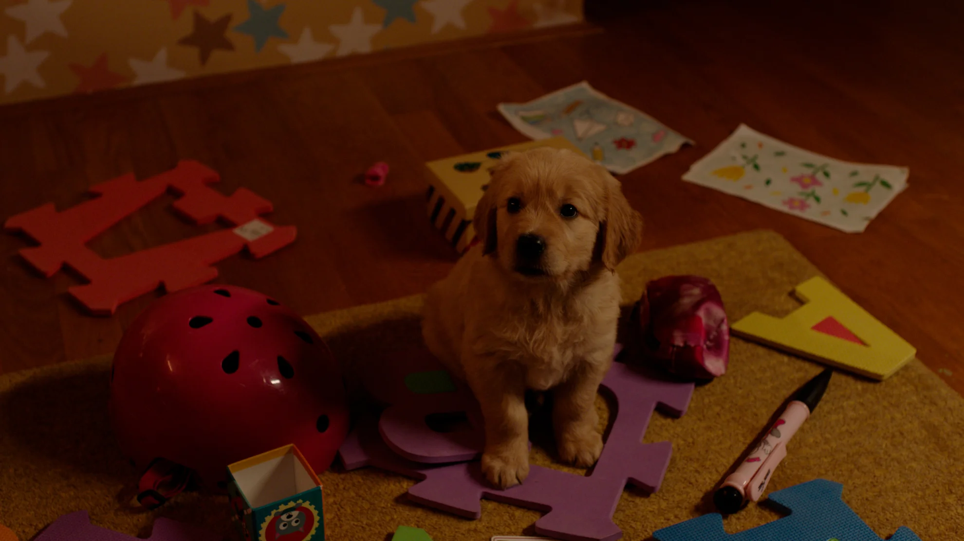 Dnevnik Pauline P. hero banner image placeholder