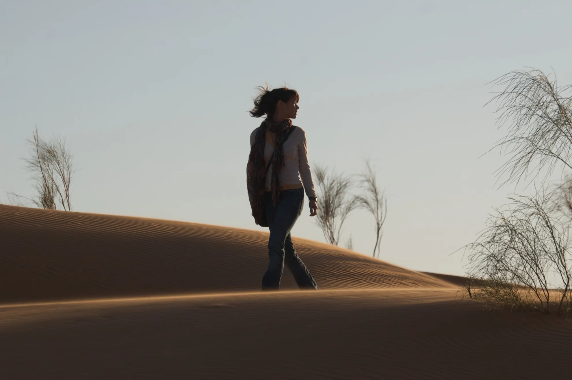 Taxiphone hero banner image