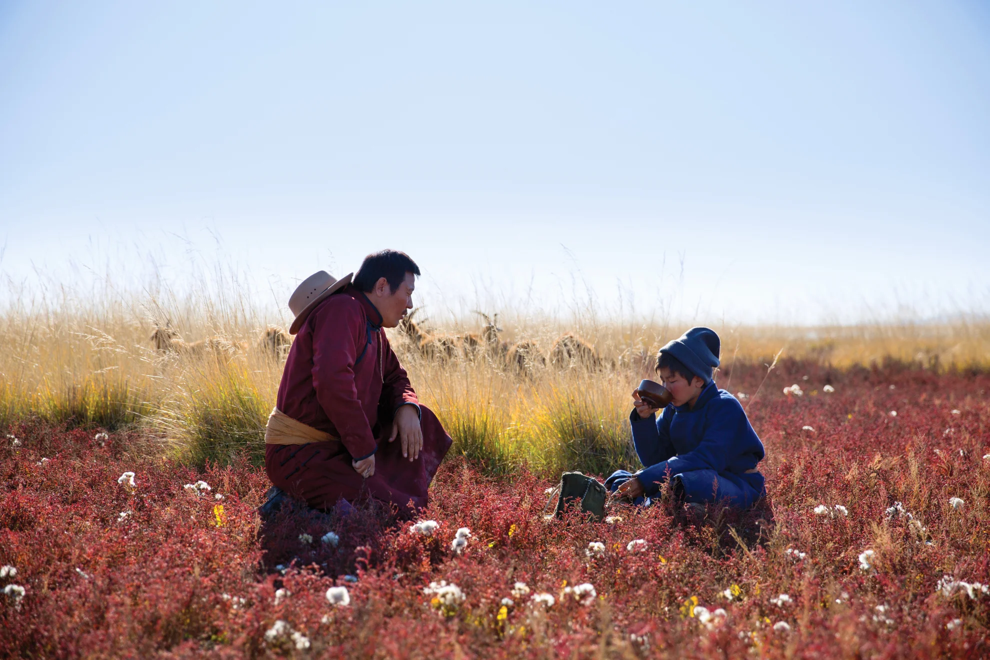 Die Adern der Welt hero banner image placeholder