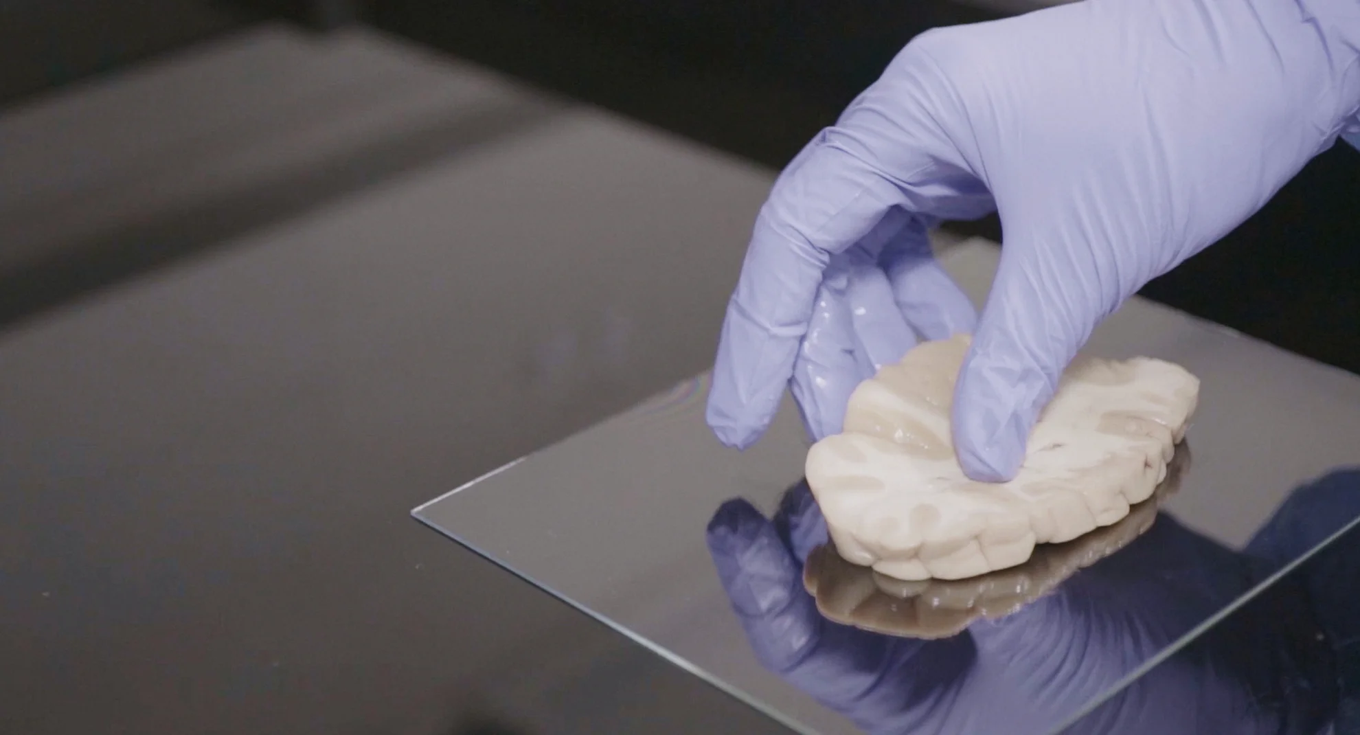 The Brain – Cinq Nouvelles du Cerveau hero banner image placeholder