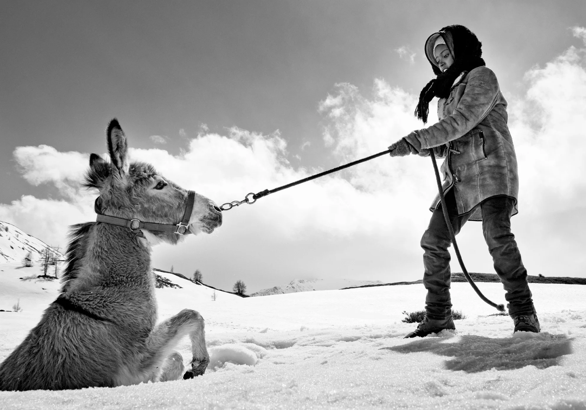 Fortuna  hero banner image placeholder