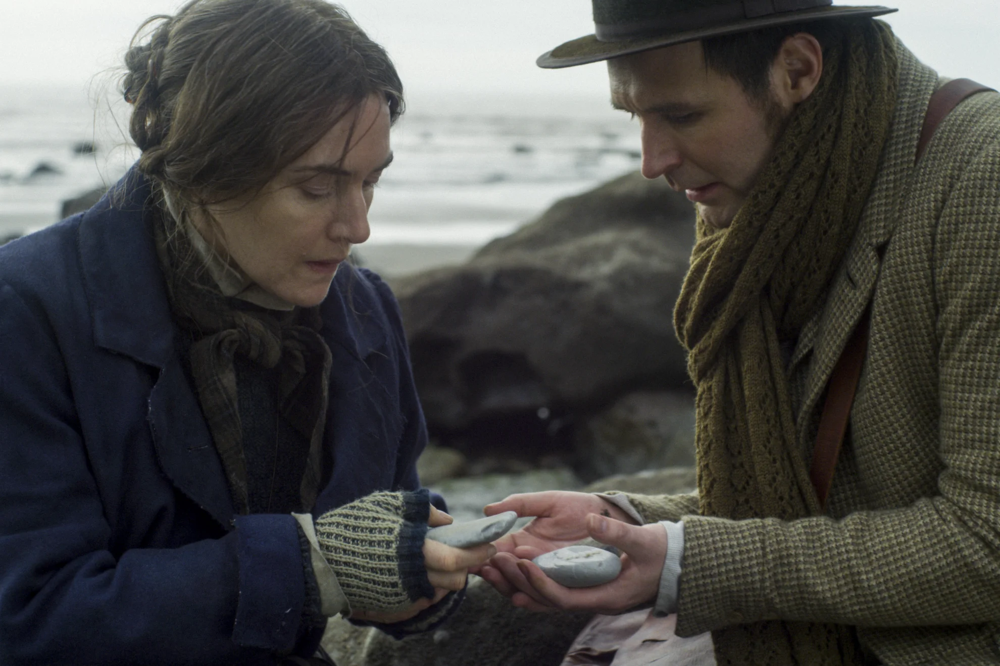 Ammonite hero banner image placeholder