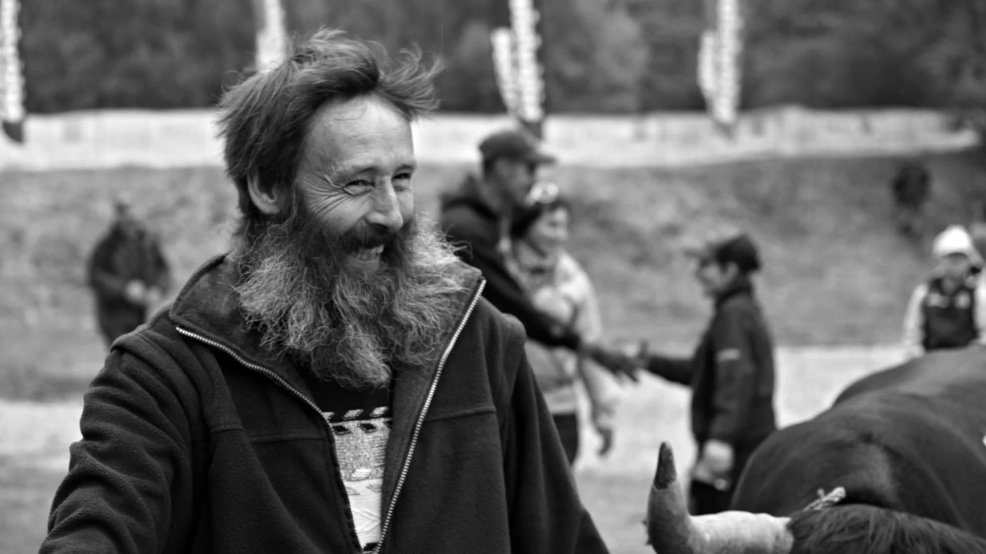 Kampf der Königinnen hero banner image placeholder