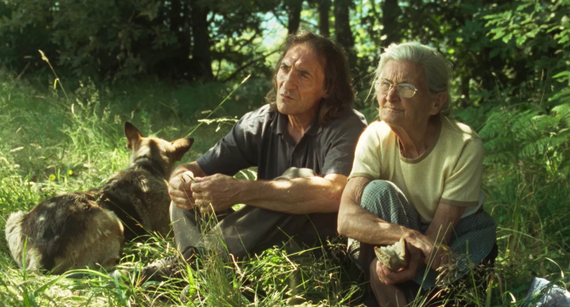 O que arde hero banner image placeholder