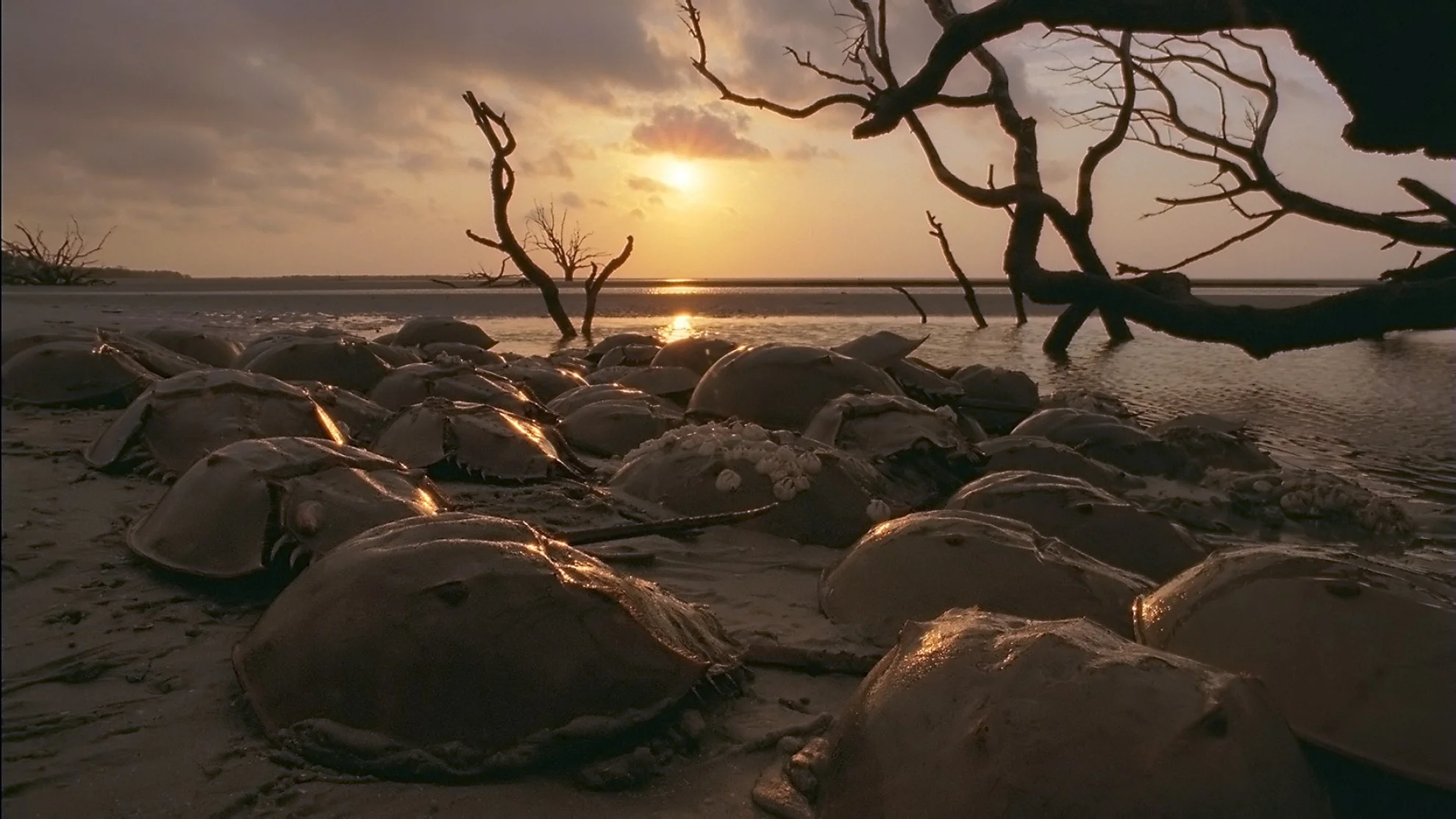 Unsere Ozeane hero banner image placeholder