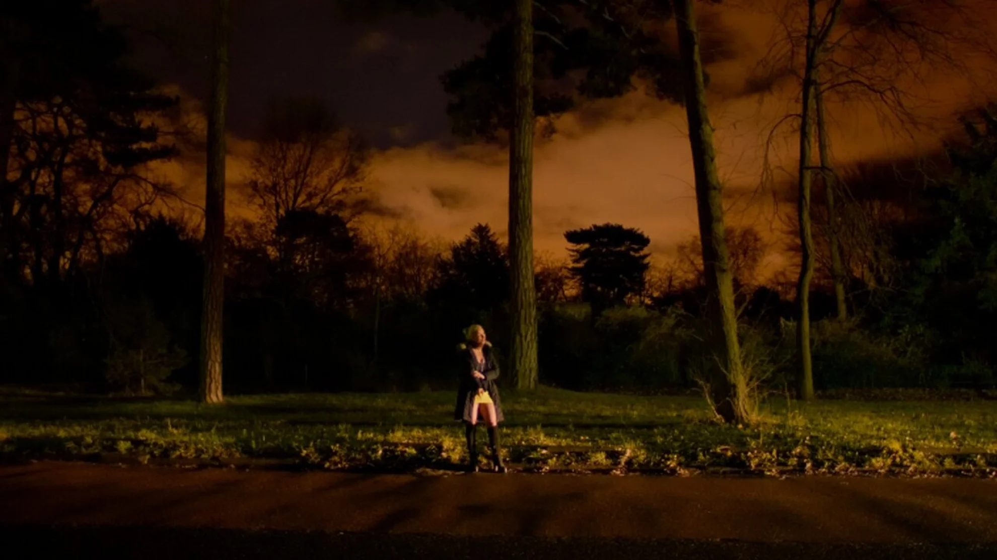 Au coeur du bois hero banner image
