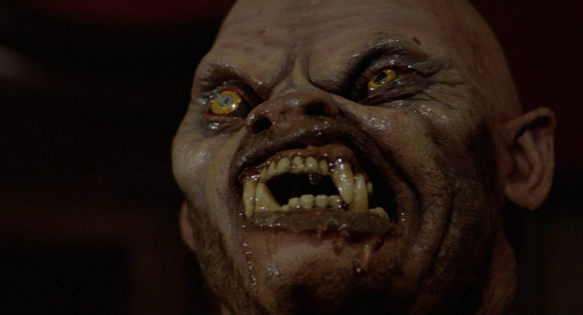 An American Werewolf in London hero banner image placeholder