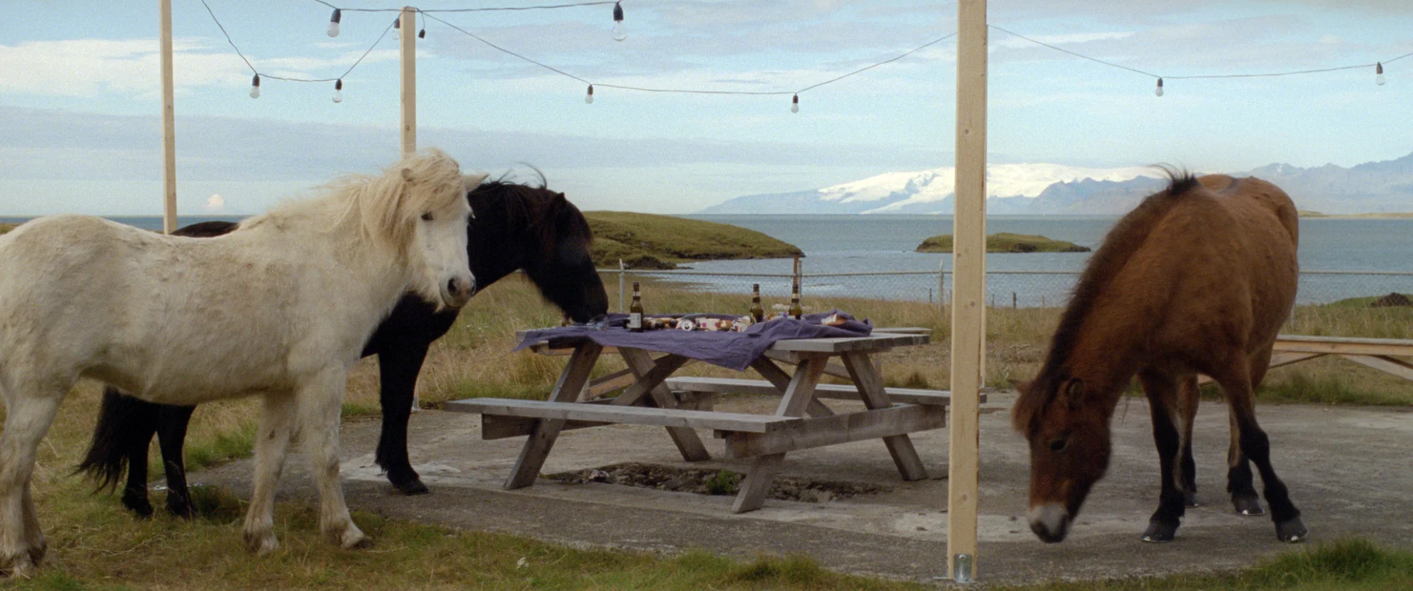 A white, white Day hero banner image placeholder