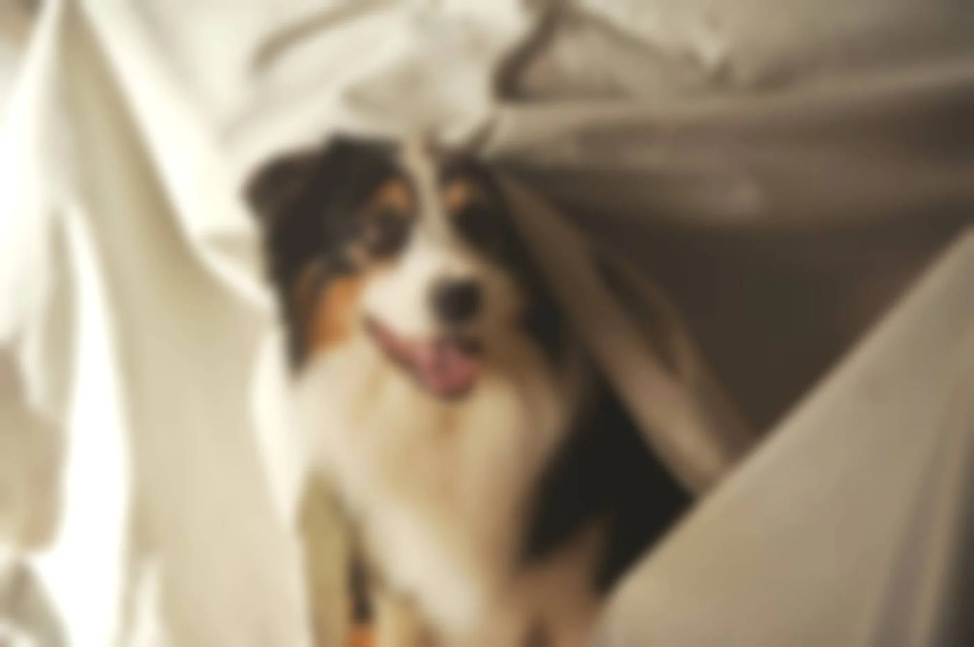 Fünf Freunde 2 hero banner image placeholder