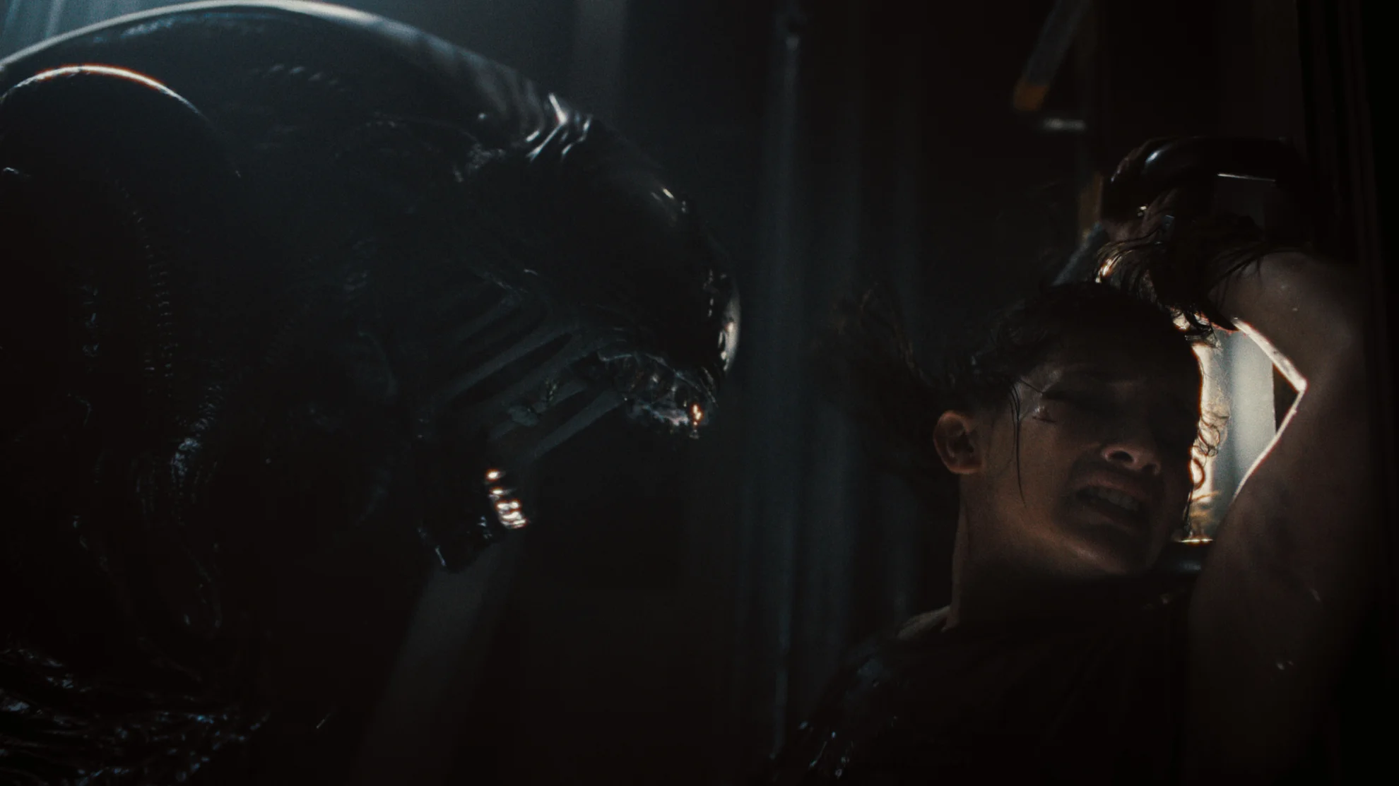 Alien: Romulus hero banner image placeholder