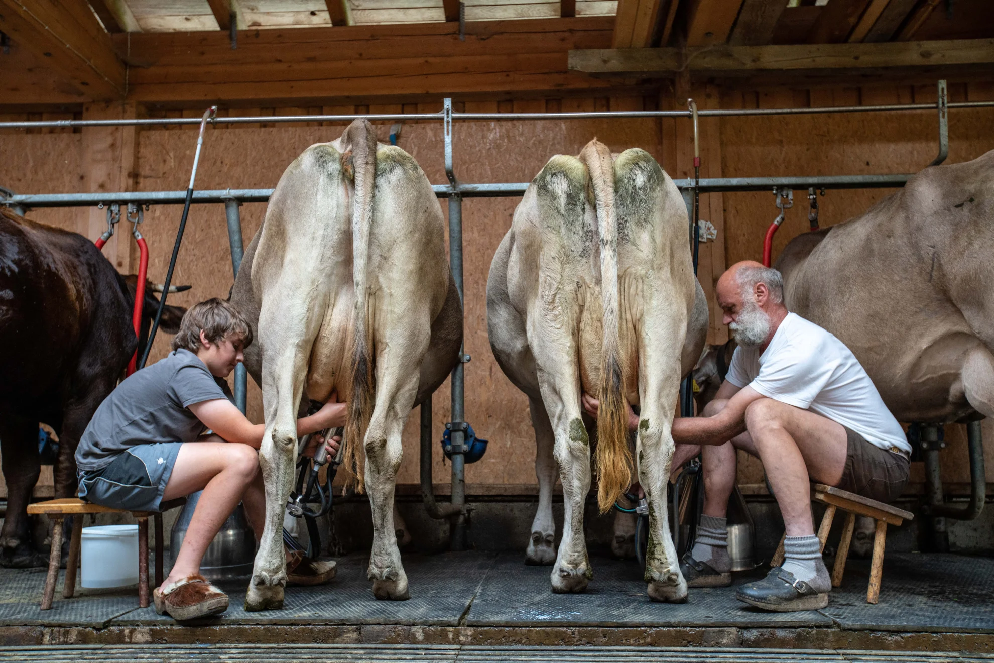 Im Berg dahuim hero banner image placeholder