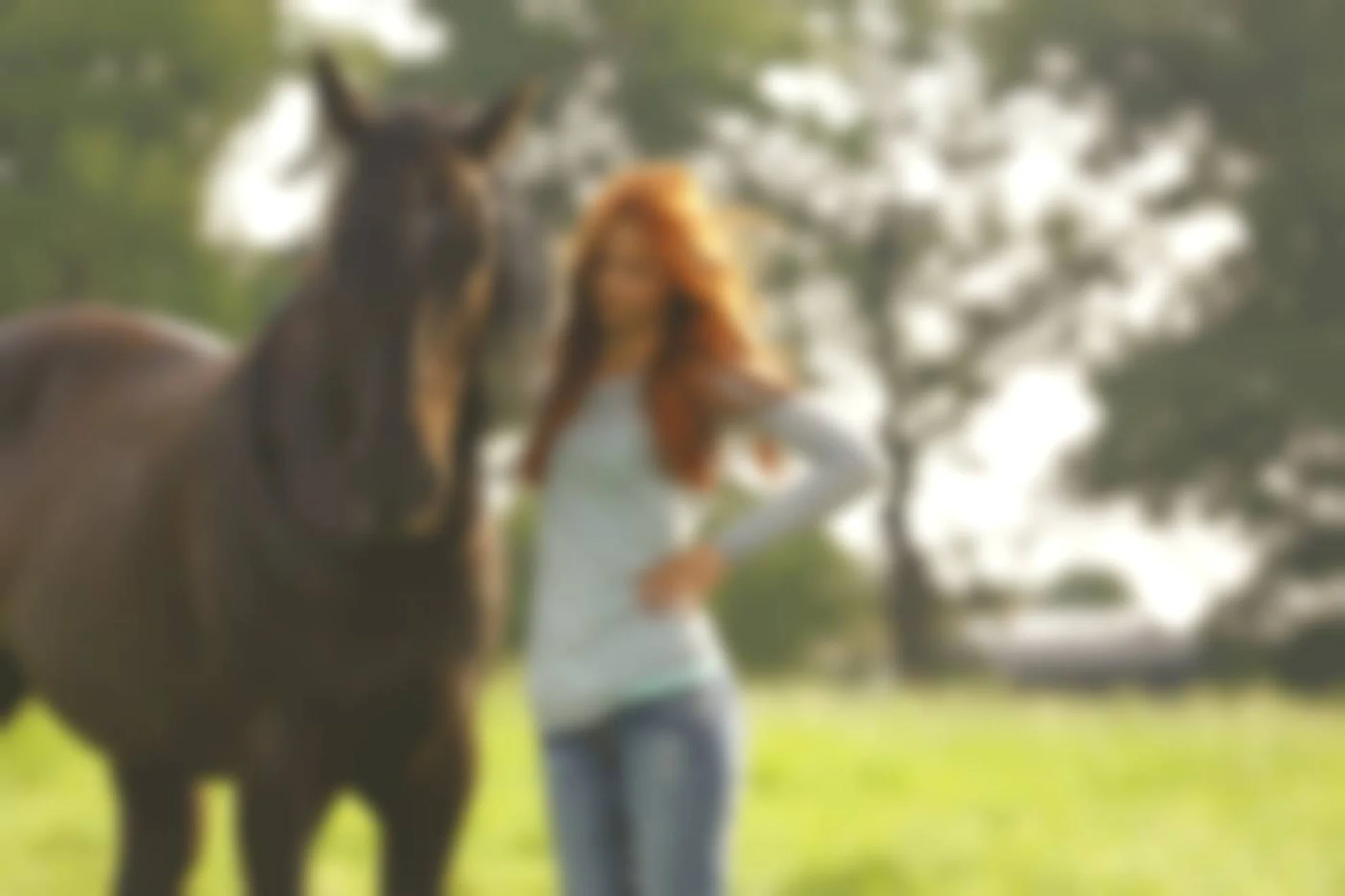 Ostwind hero banner image placeholder
