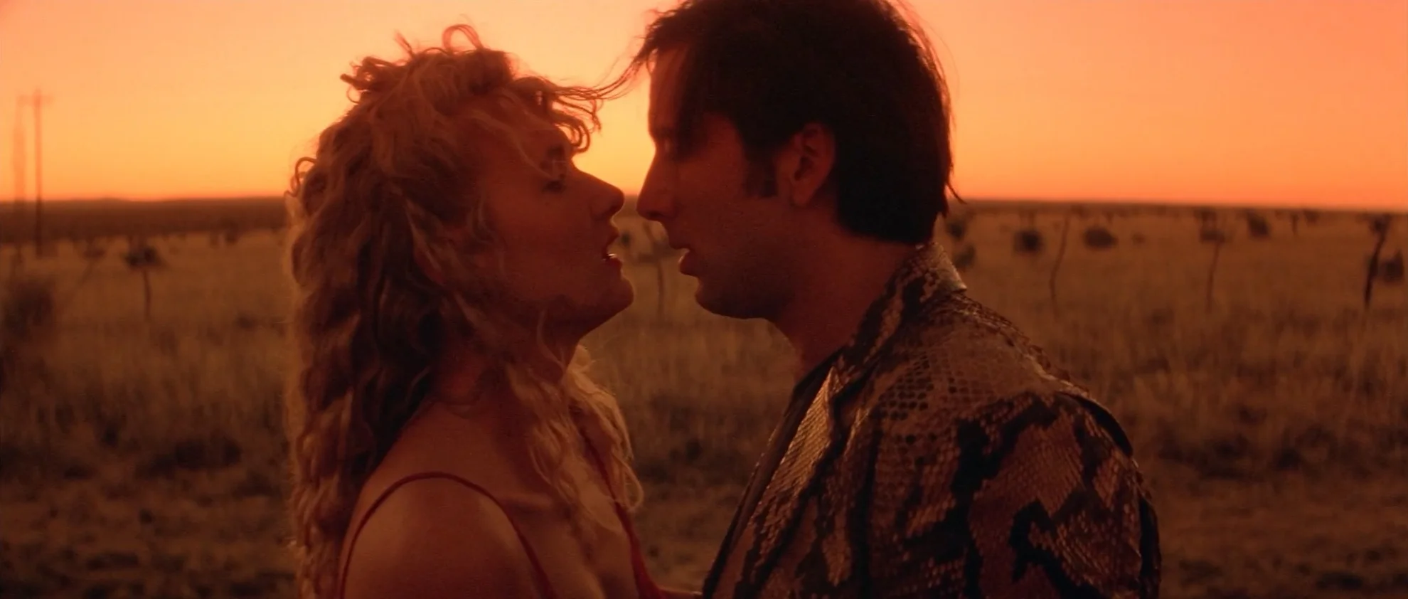 Wild at Heart hero banner image placeholder