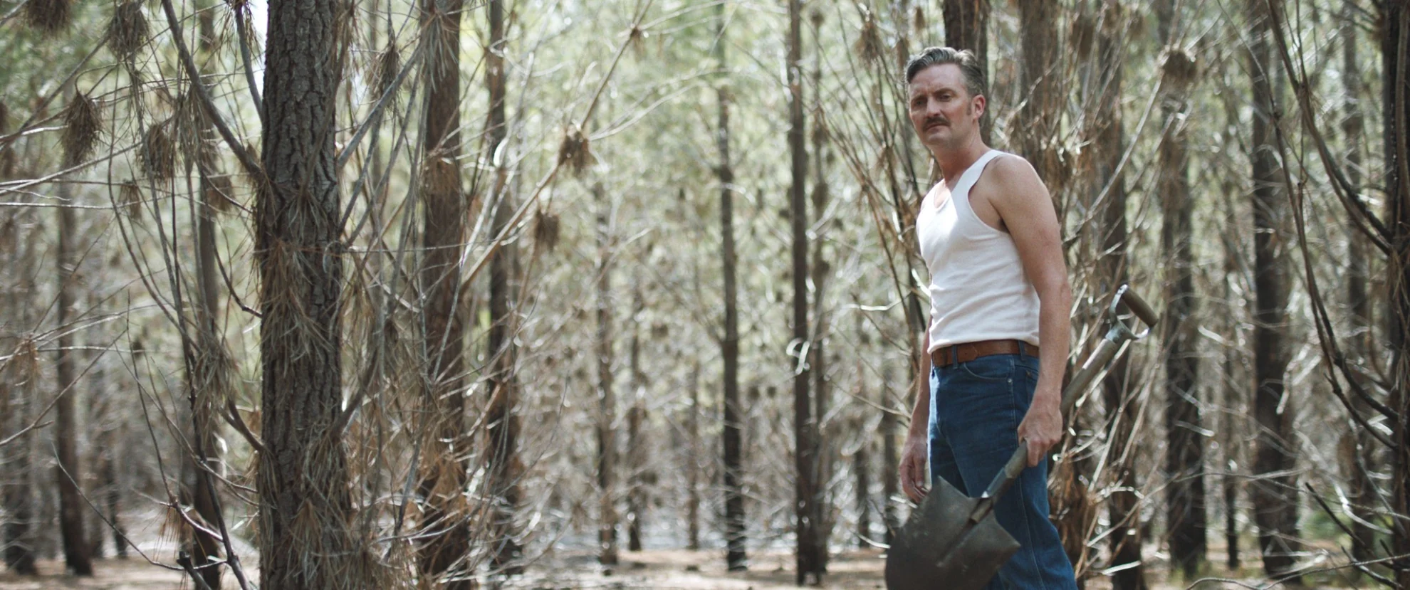 Hounds of Love hero banner image placeholder