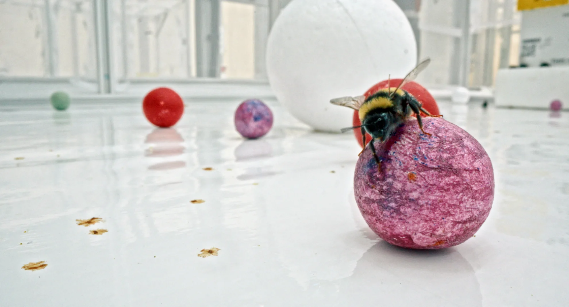 Programm hero banner image placeholder