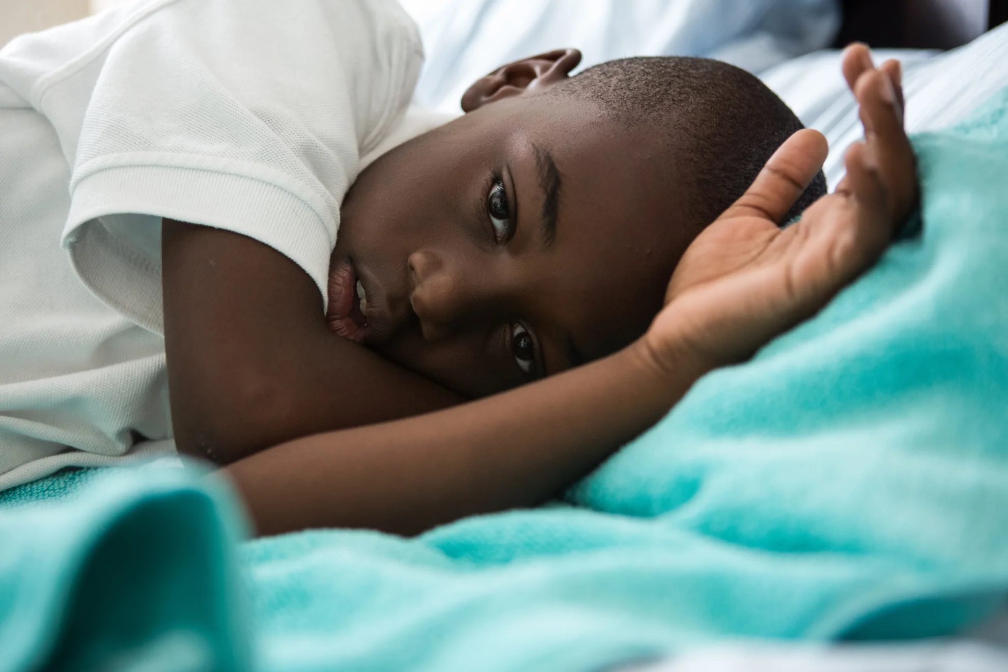 Moonlight hero banner image