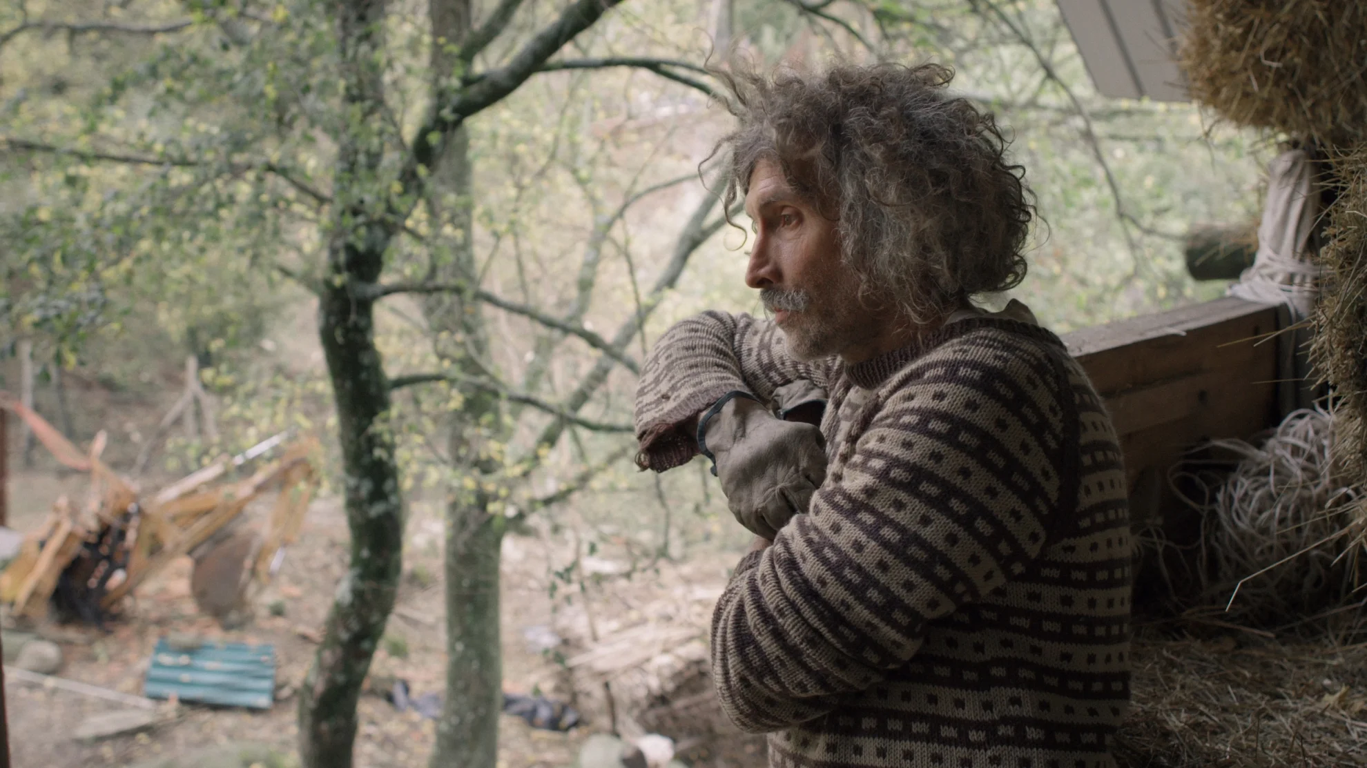 Caveman - Il Gigante Nascosto hero banner image placeholder