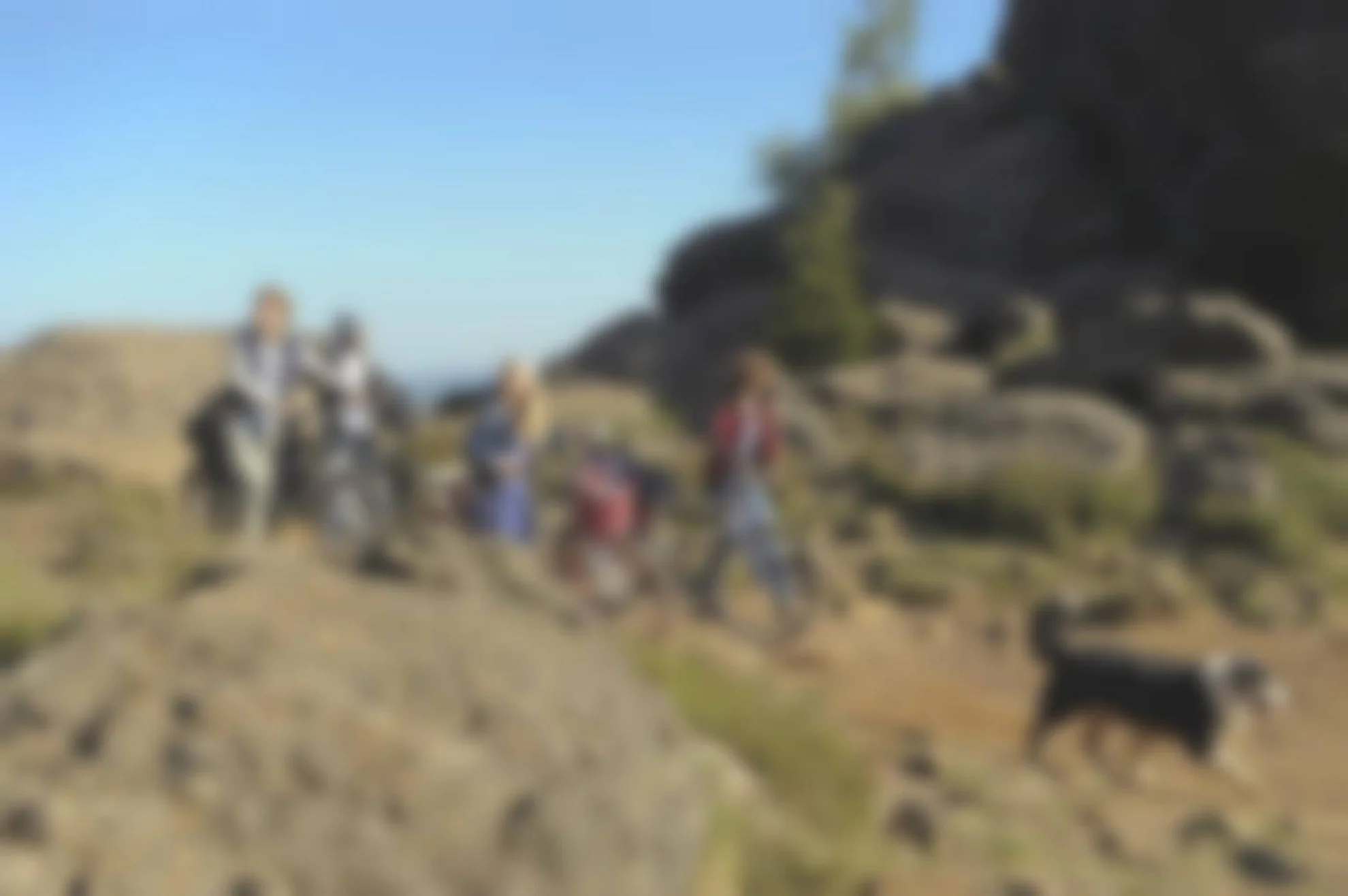 Fünf Freunde 2 hero banner image placeholder