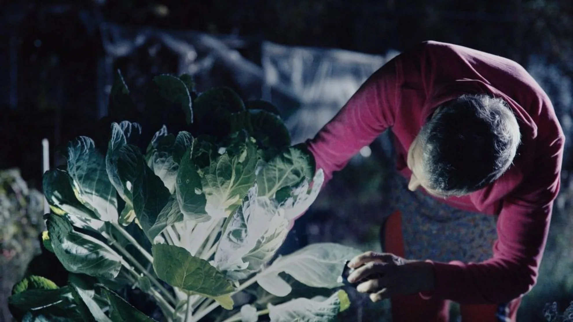 Unter Pflanzen - Ein Perspektivenwechsel hero banner image