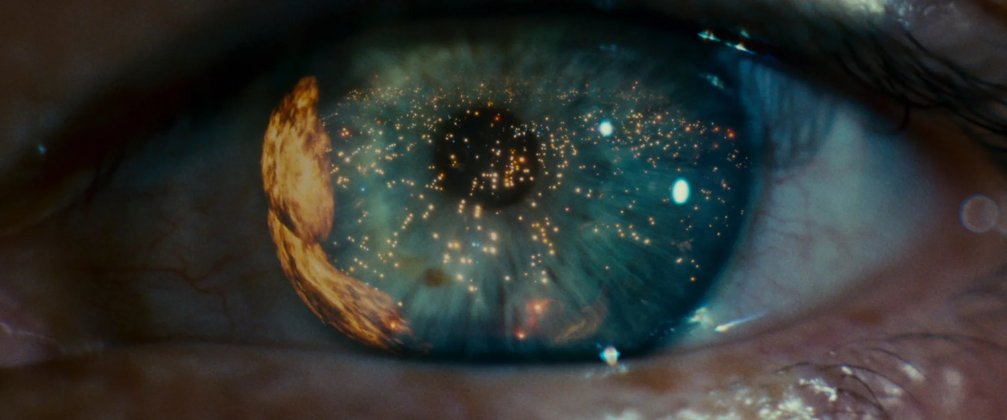 Blade Runner - Double Feature hero banner image placeholder