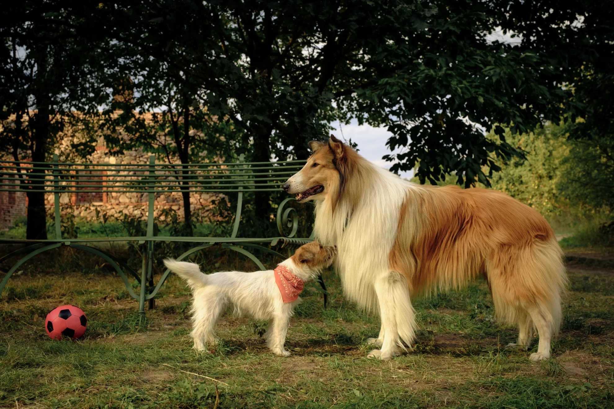Lassie - Ein neues Abenteuer hero banner image placeholder