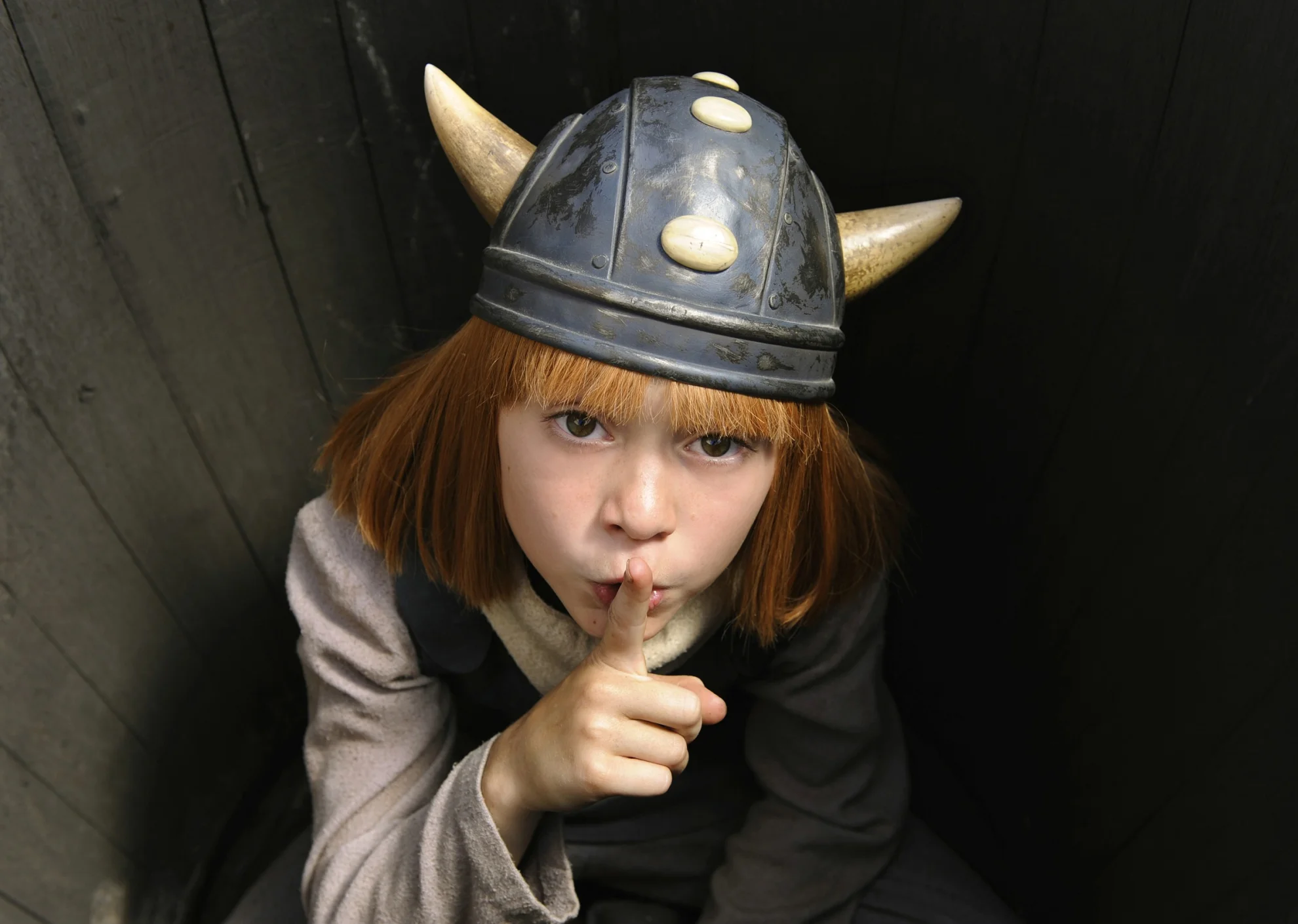Wickie und die starken Männer hero banner image placeholder