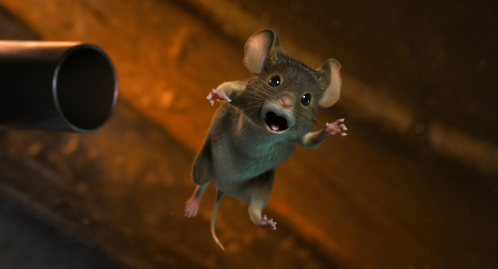 Mission Mäusejagd - Chaos unterm Weihnachtsbaum hero banner image placeholder