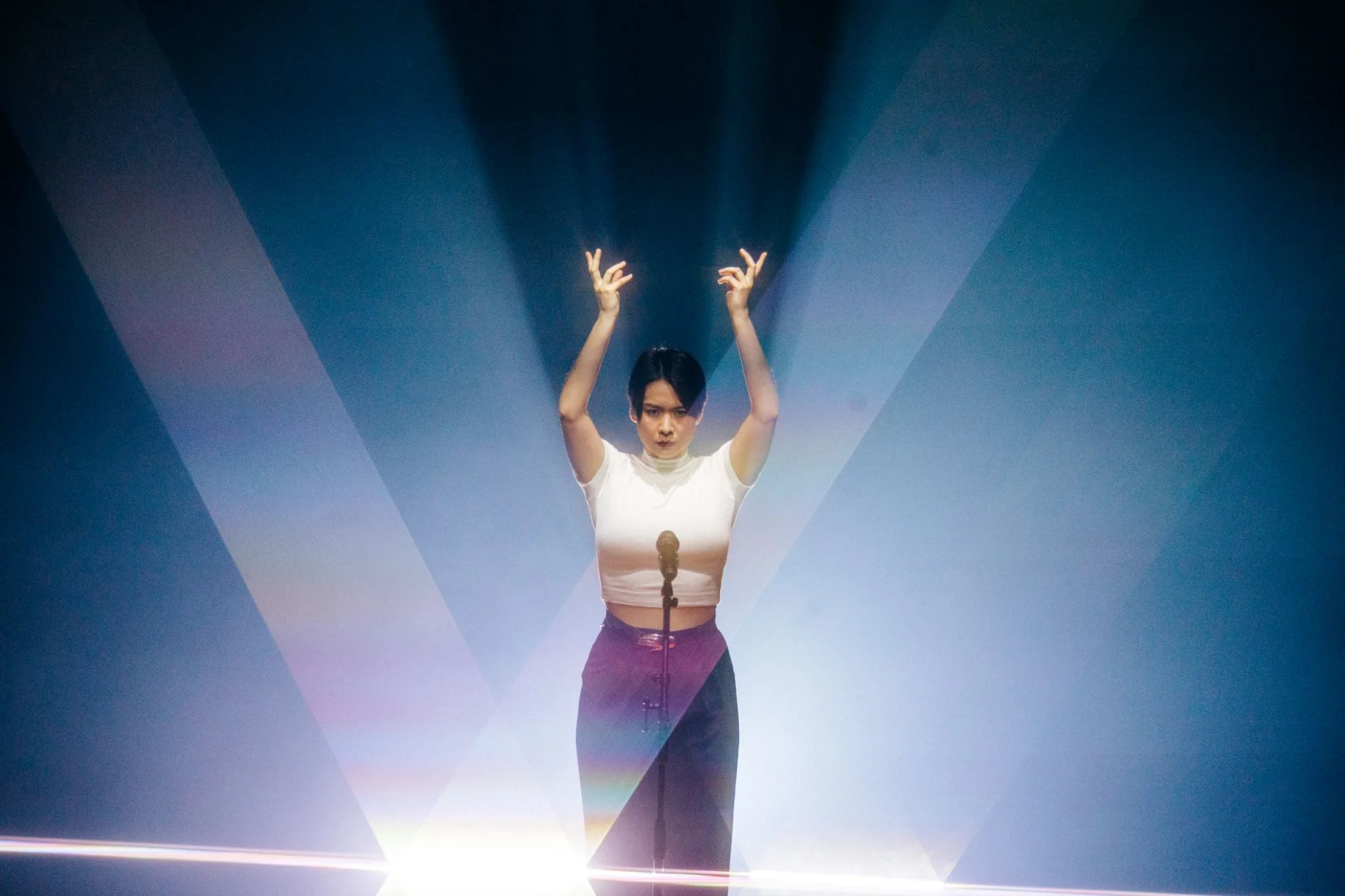 Mitski: The Land hero banner image placeholder