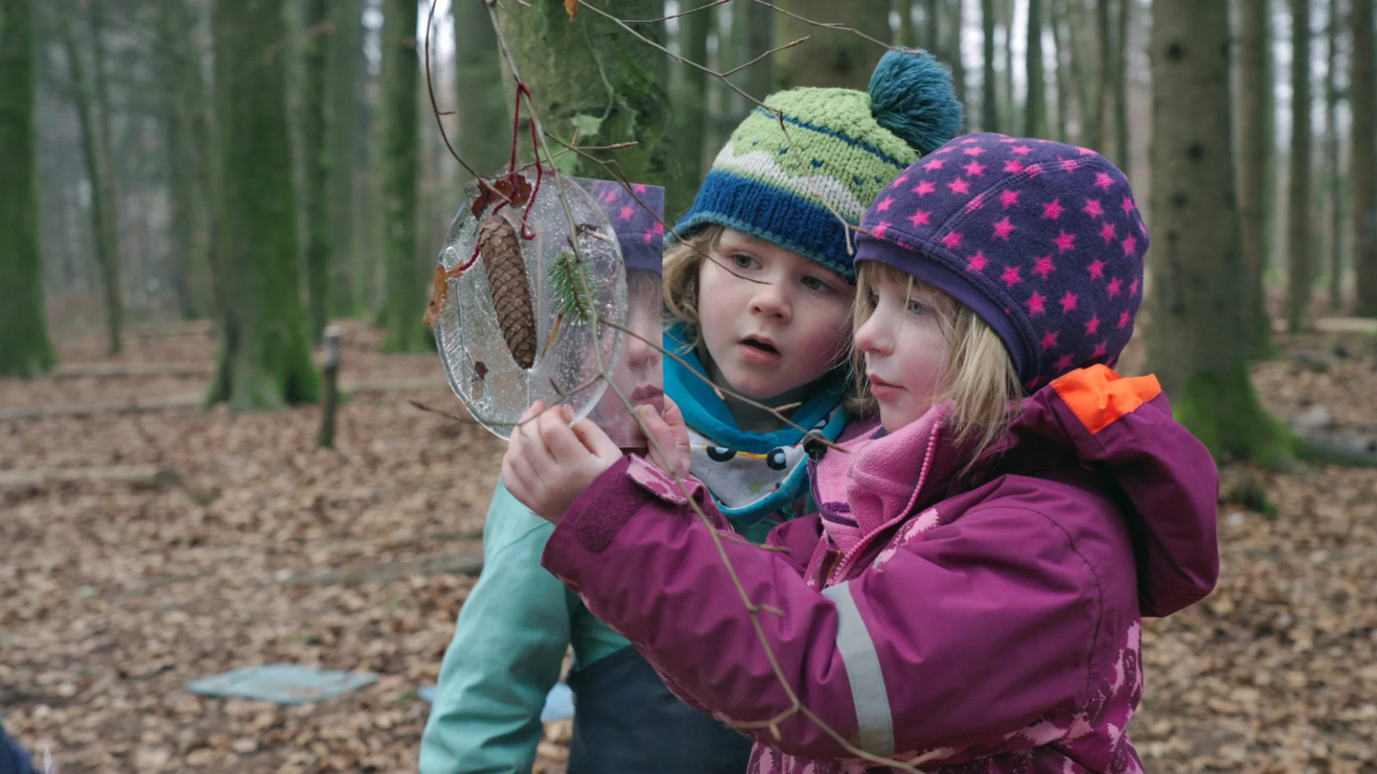 Von Kindern und Bäumen – Ein Jahr in der Waldschule hero banner image placeholder