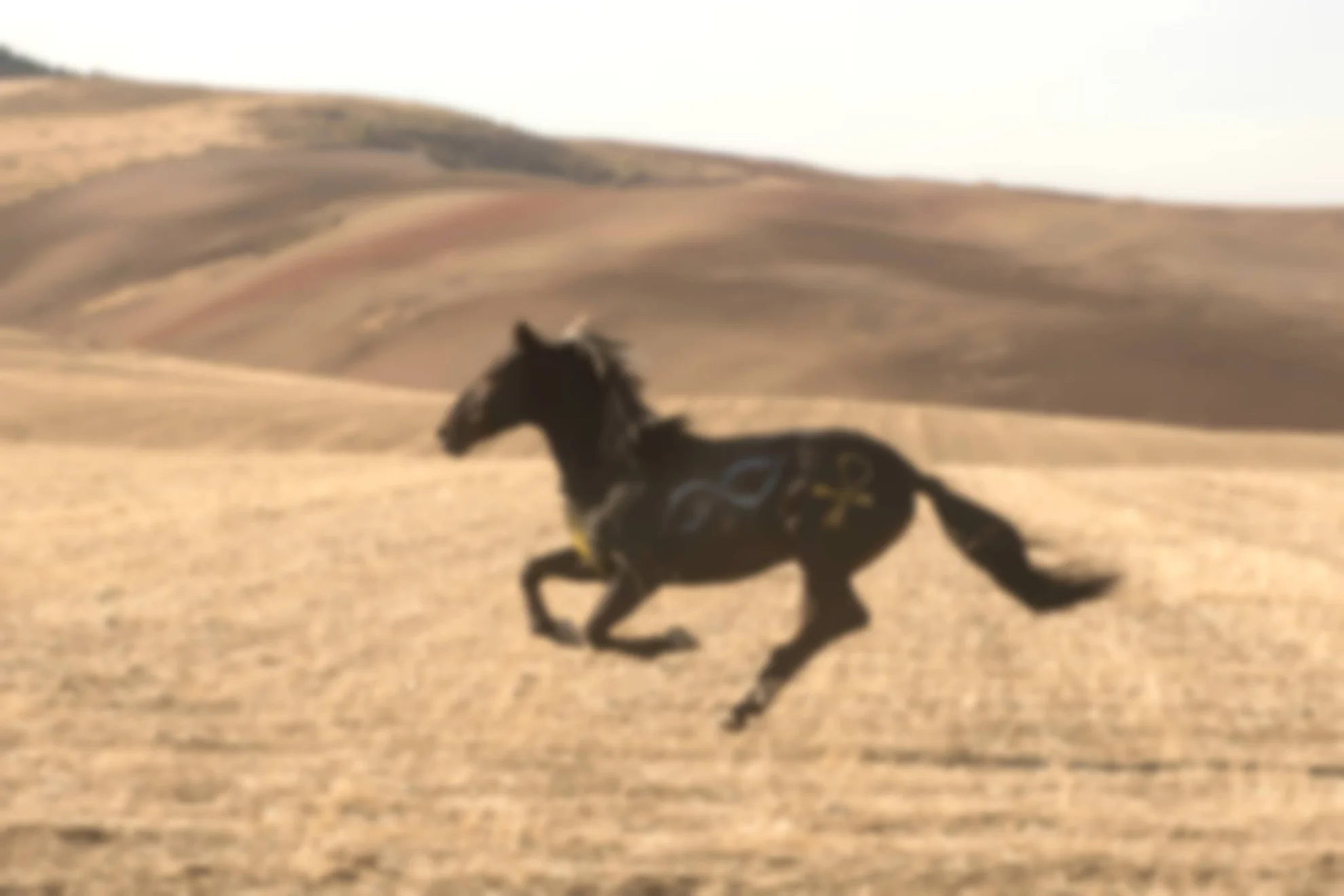 Ostwind 3 hero banner image placeholder