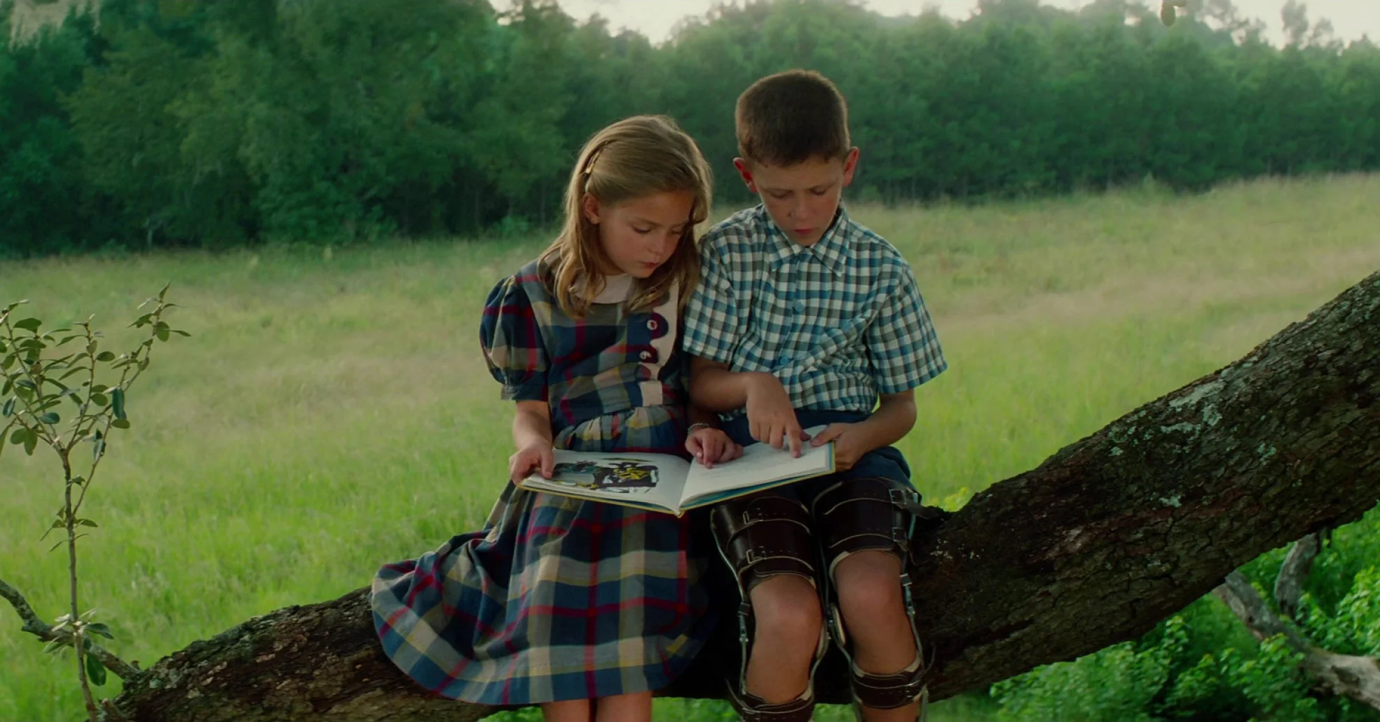 Forrest Gump hero banner image placeholder