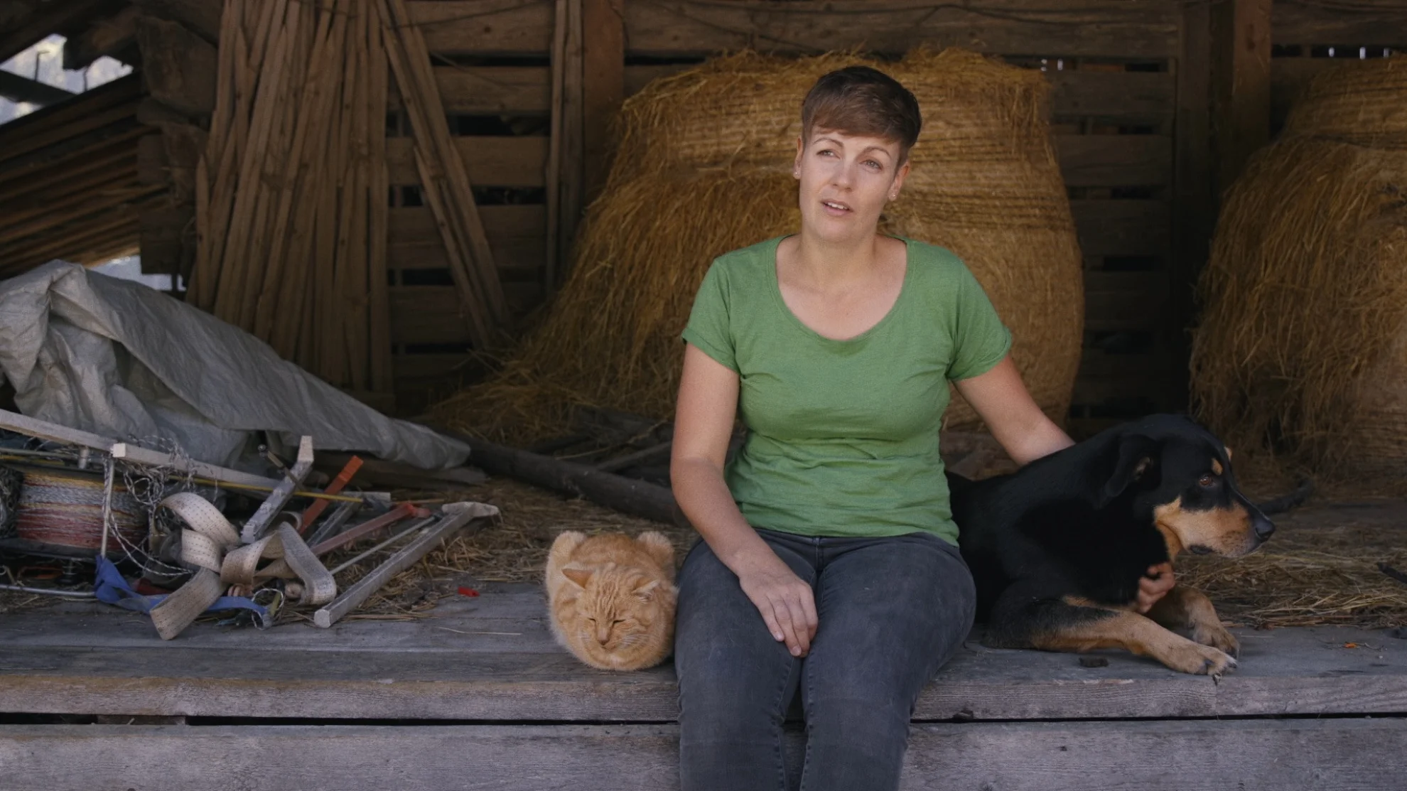 Volunteer hero banner image placeholder