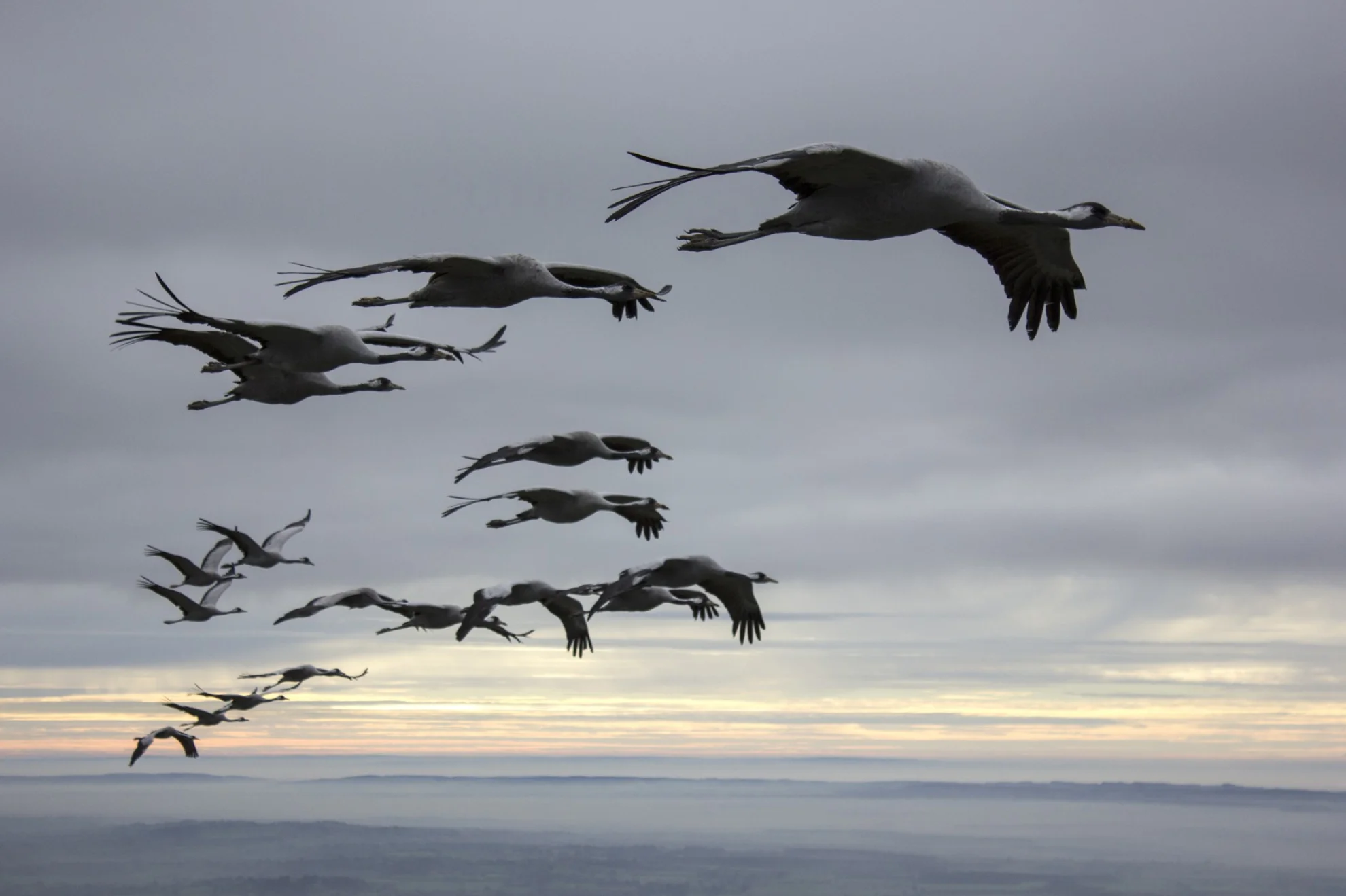 Unsere Wildnis hero banner image placeholder