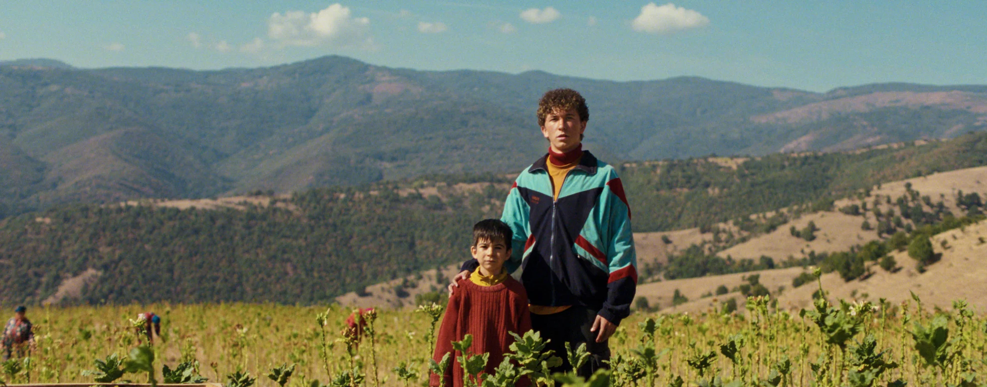 Programm hero banner image placeholder