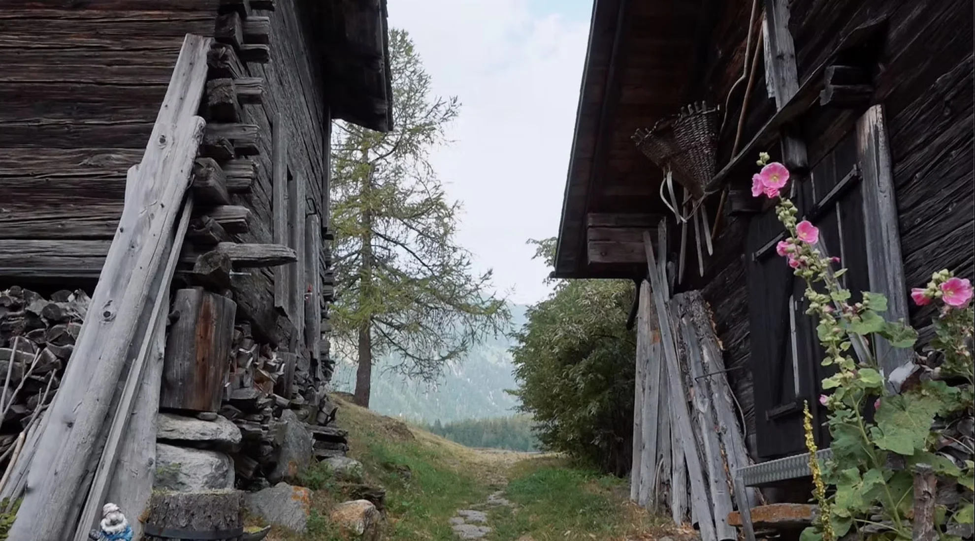 So is gsi hero banner image placeholder