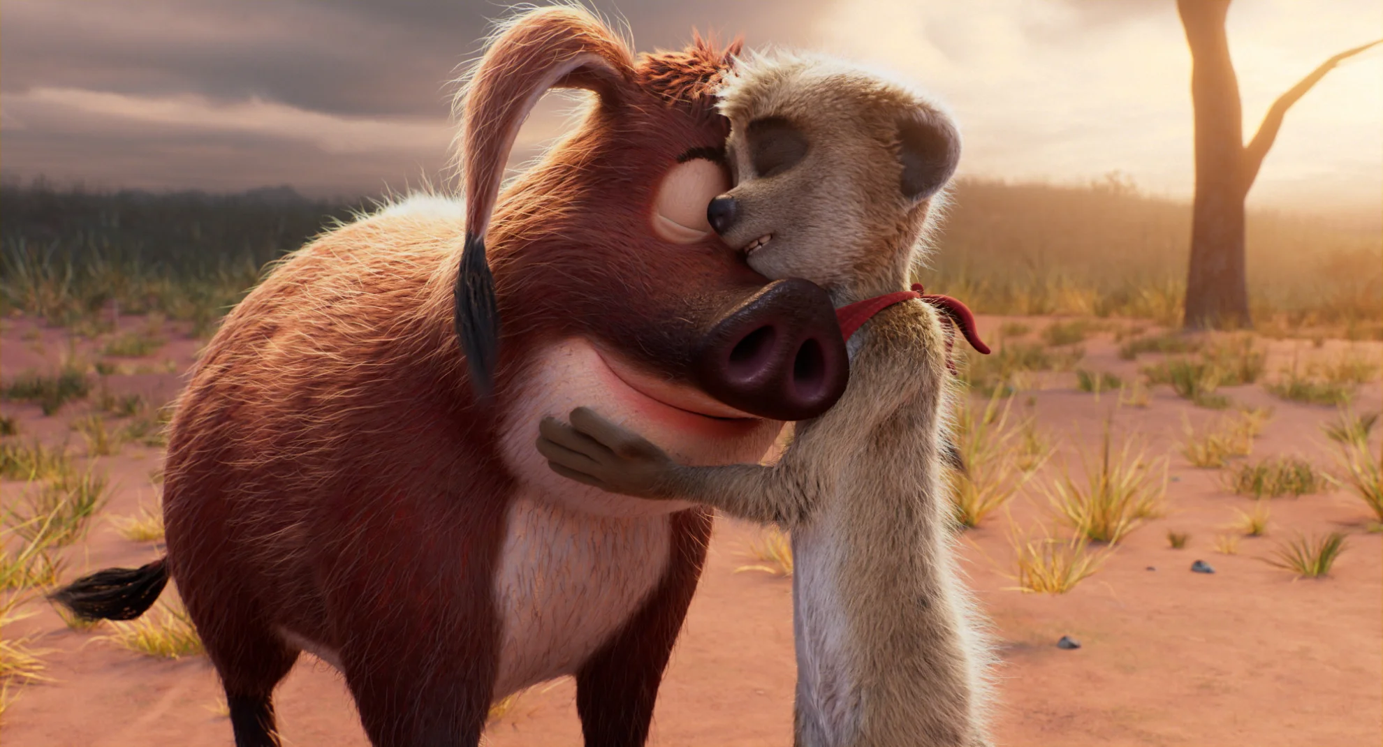 Tafiti - Ab durch die Wüste hero banner image placeholder