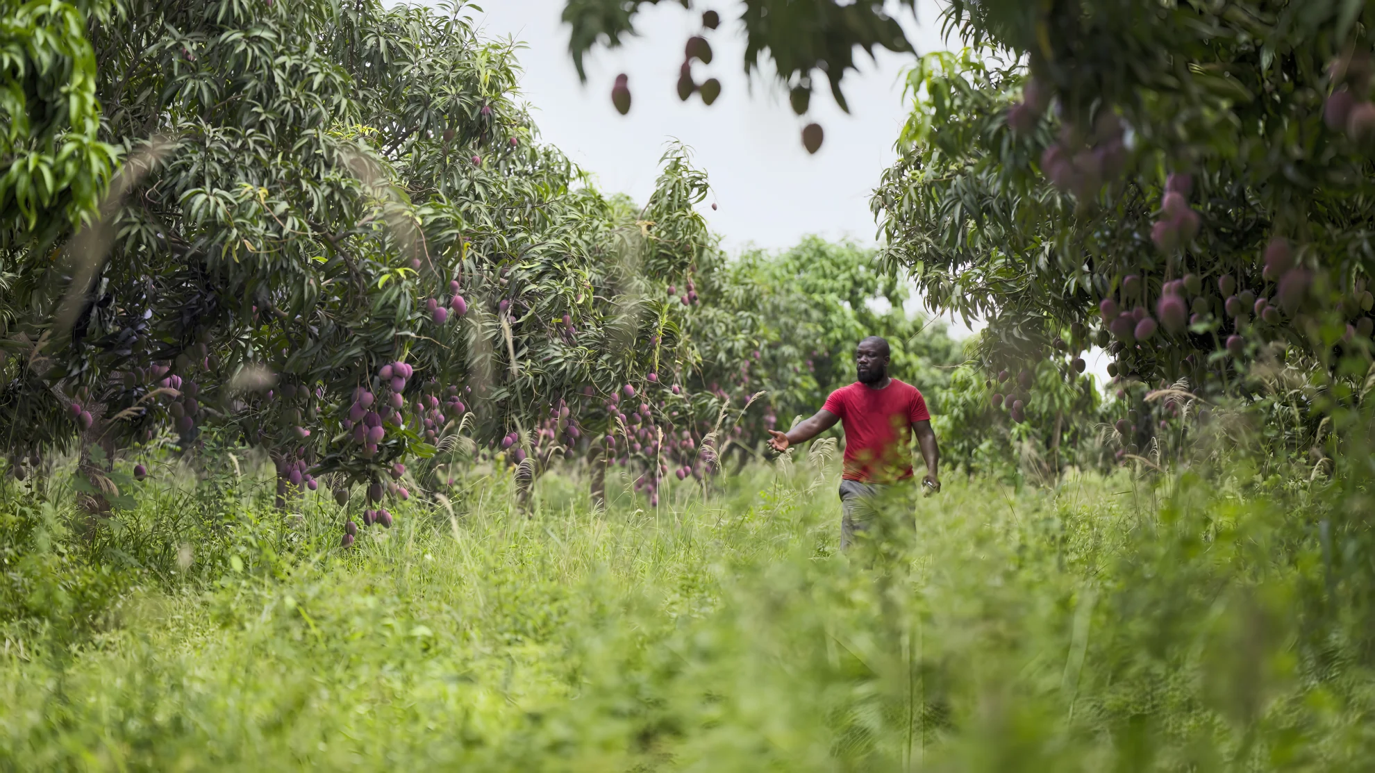 The Narrative hero banner image placeholder